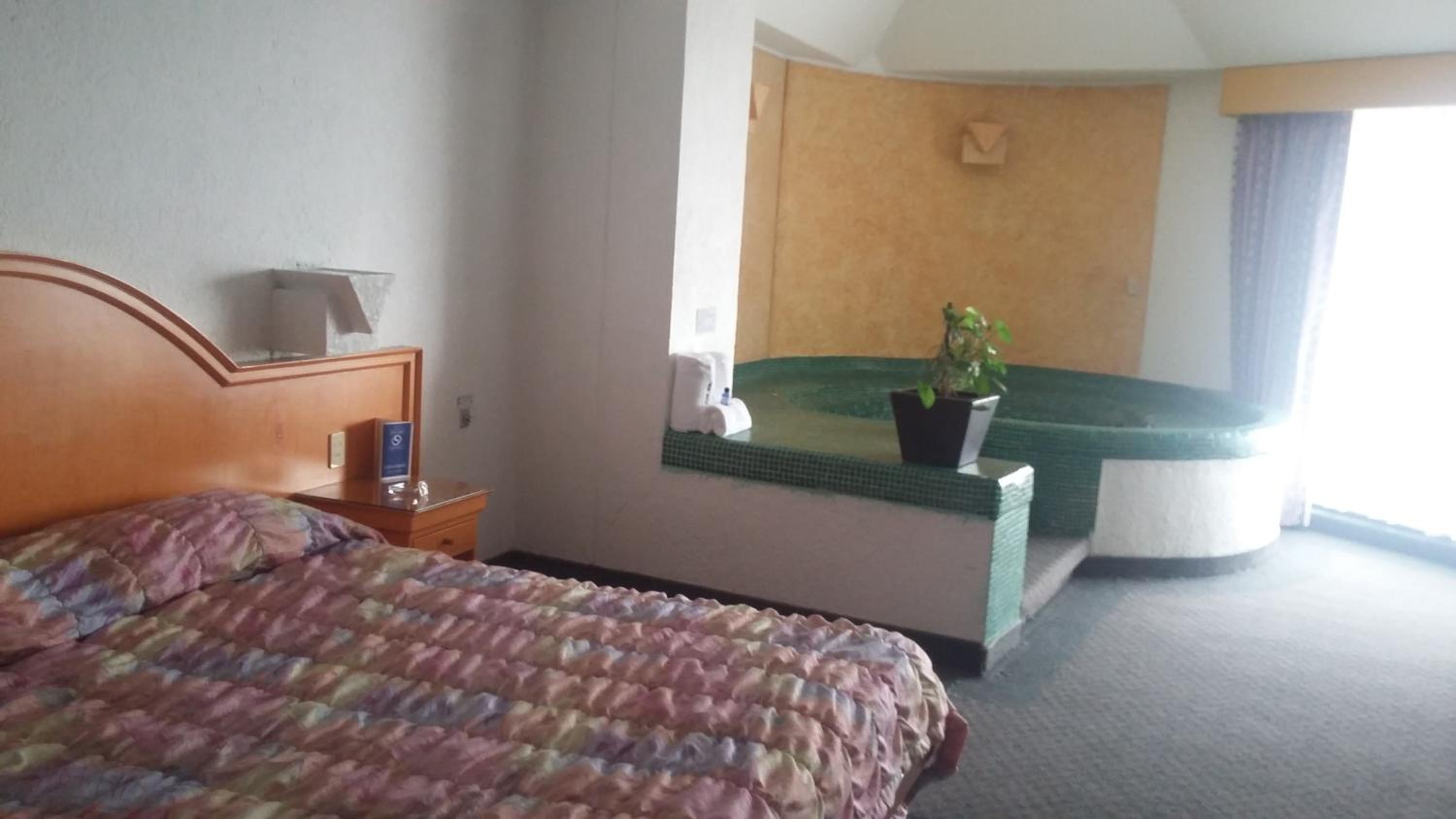 King Room photo 2