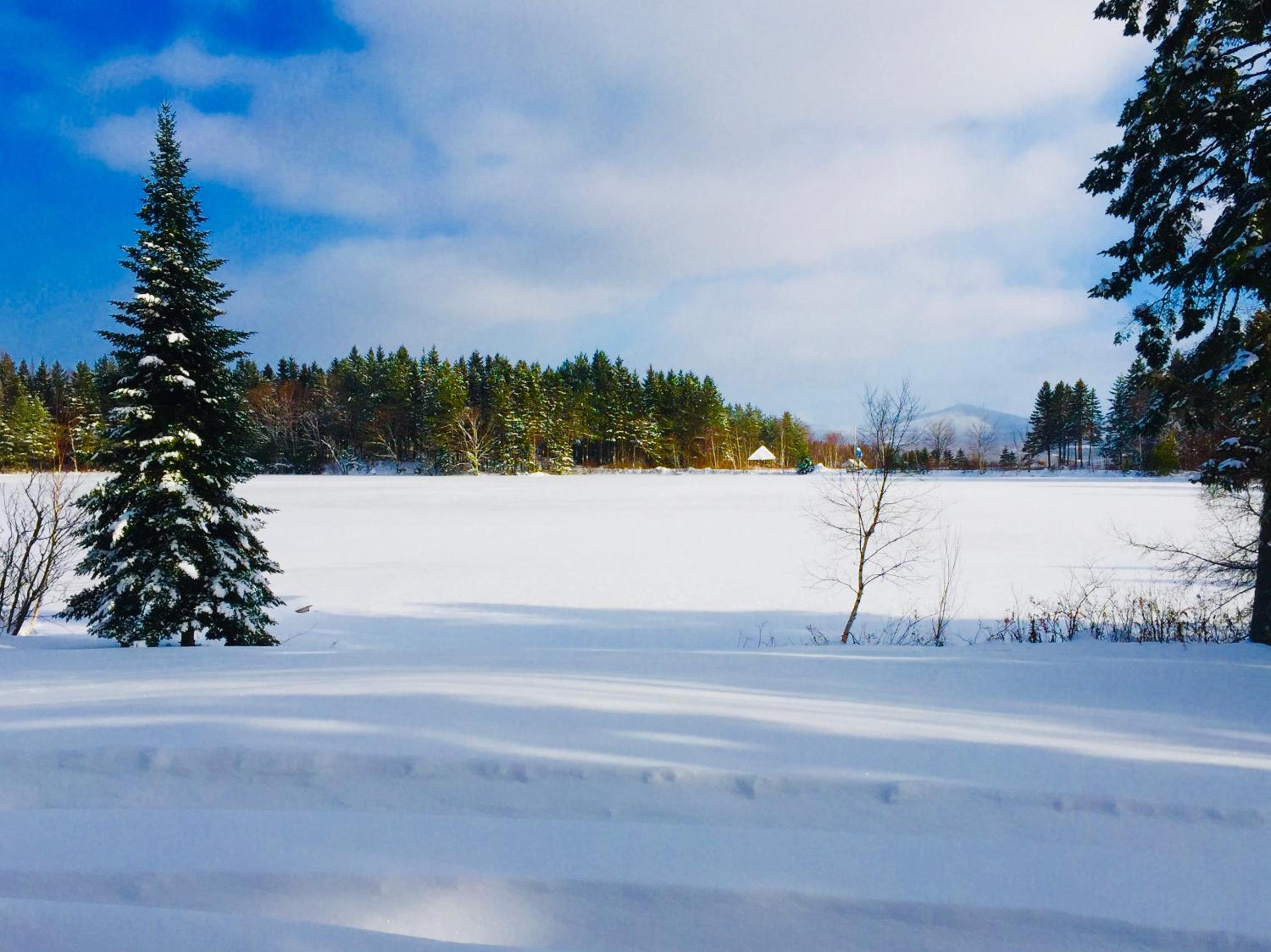 Superior Chalet photo 3