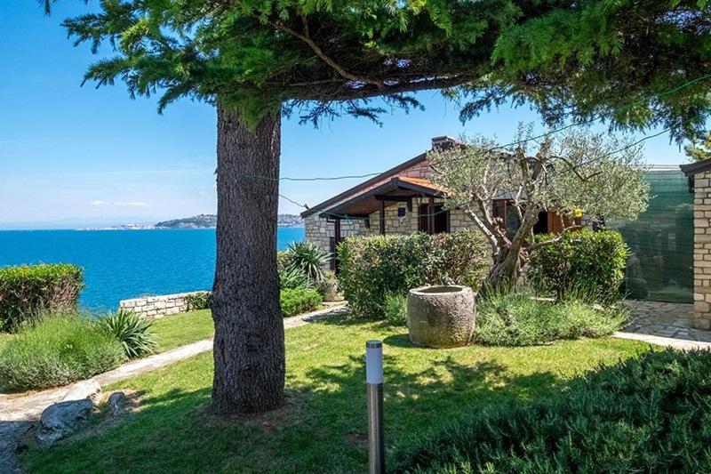 Holiday Home photo 3