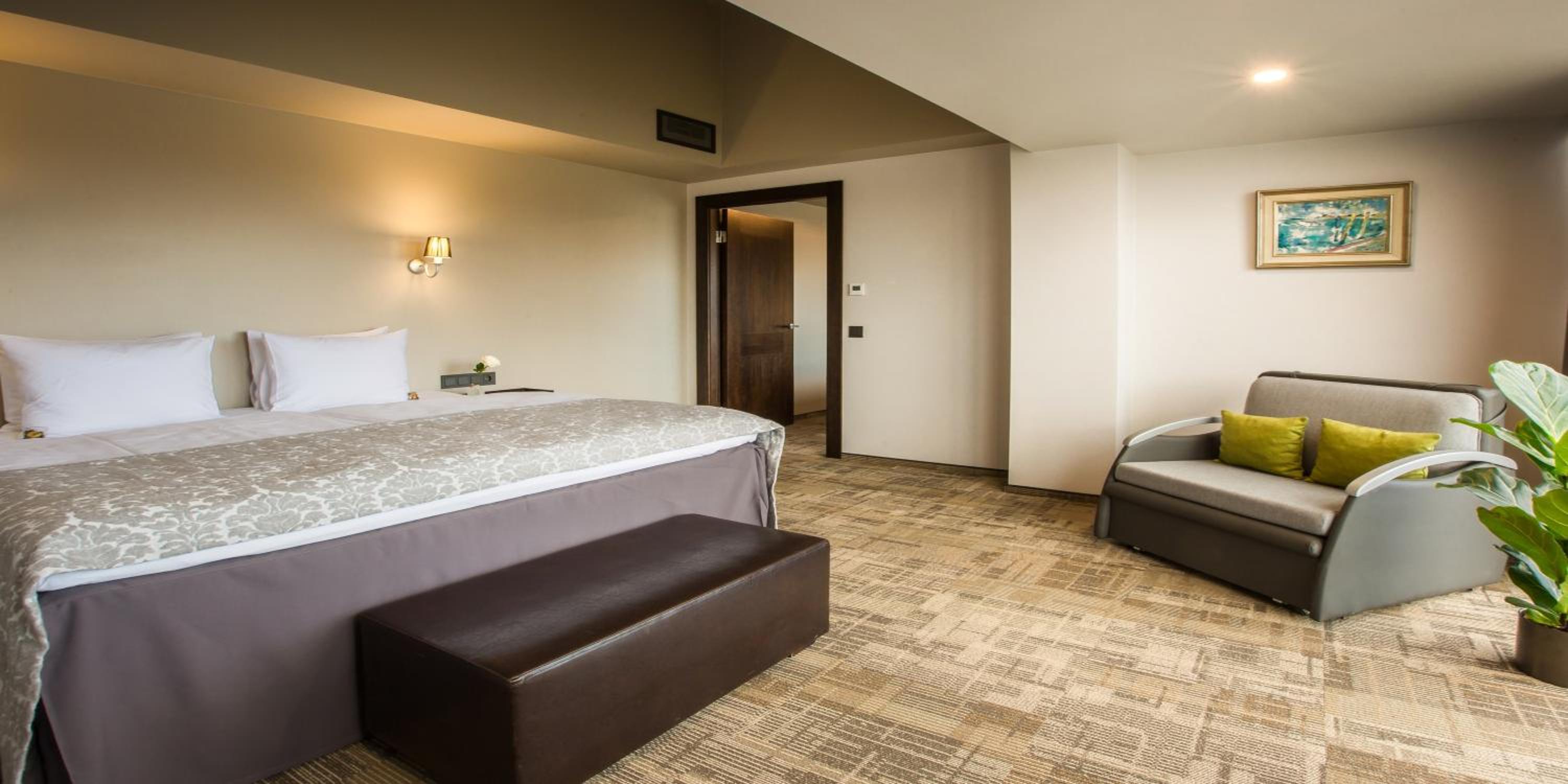 One-Bedroom Suite - Photo 17
