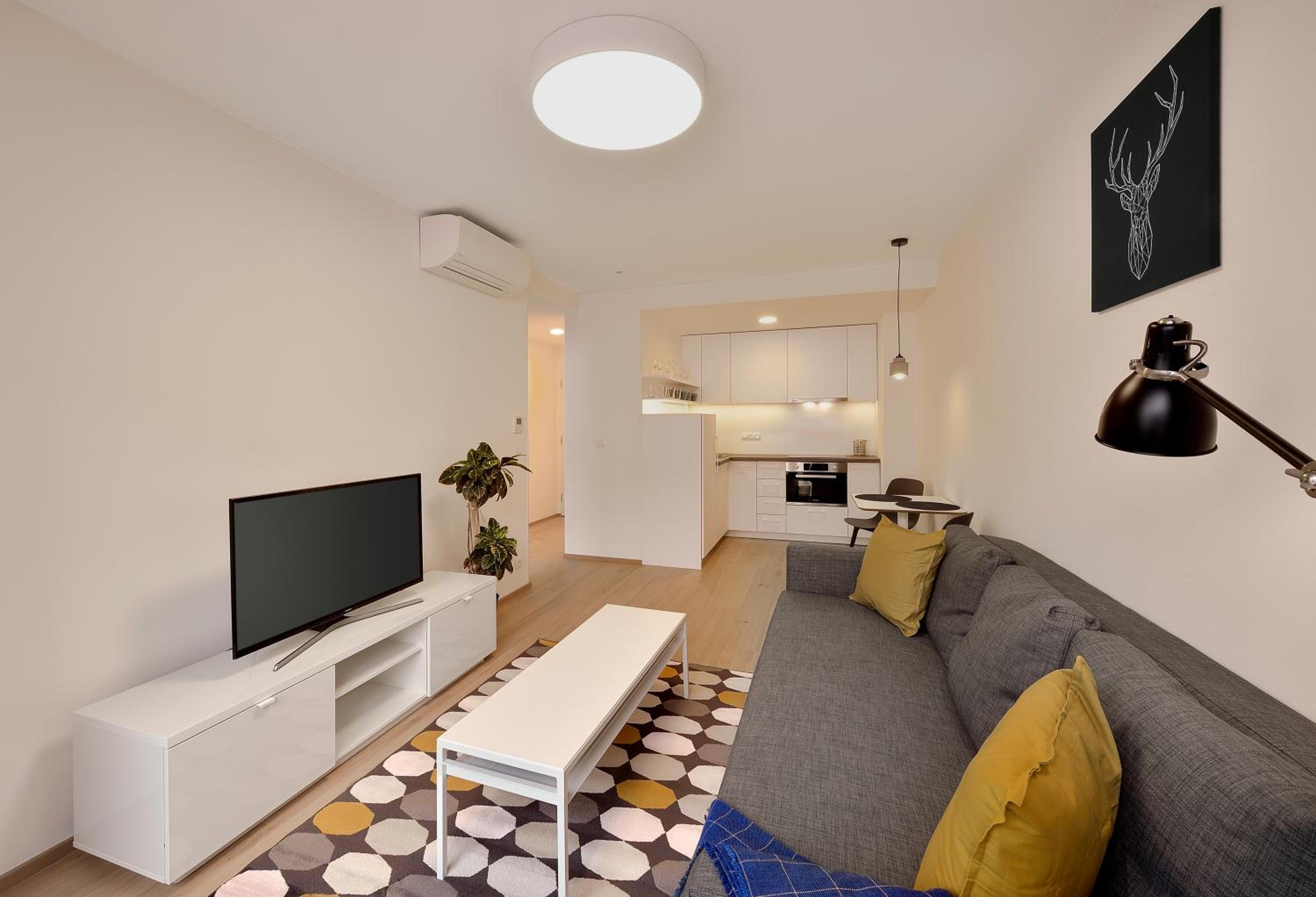 Economy Apartment - Photo 7