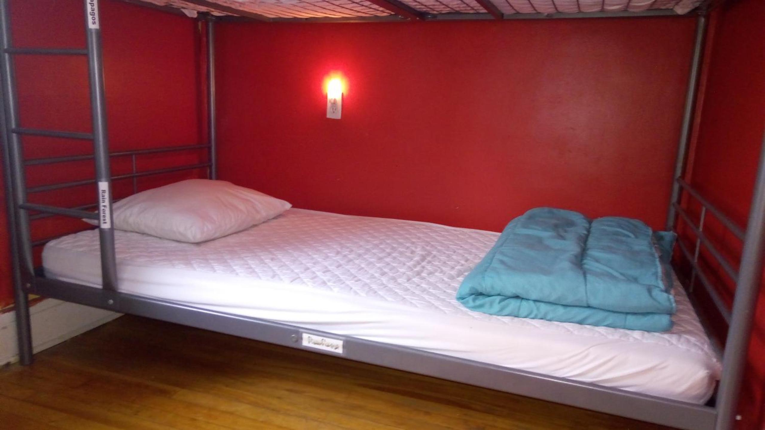 Single Bed in 4-Bed Dormitory Room photo 1