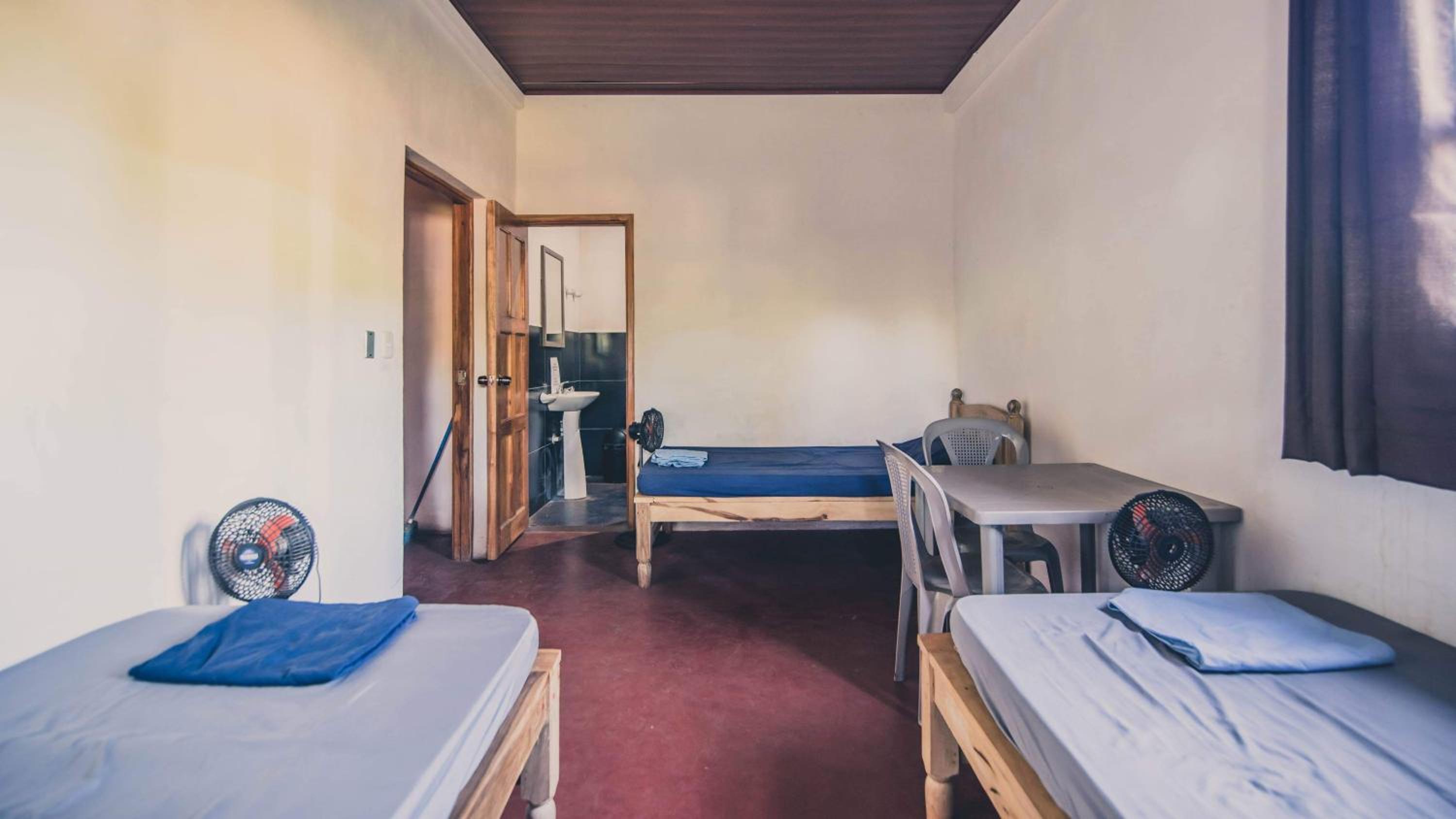 Triple Room photo 3