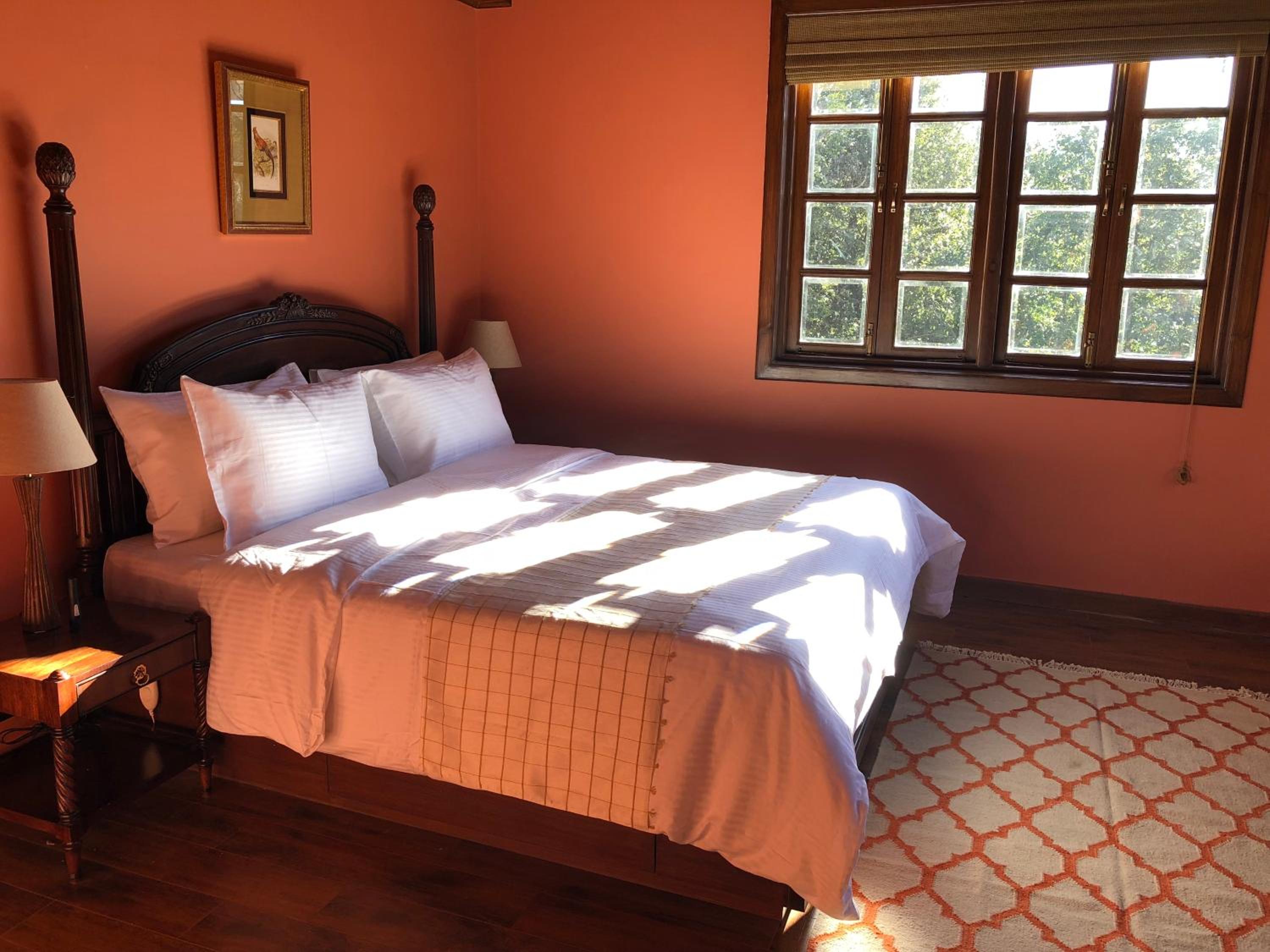 Superior Double or Twin Room photo 1