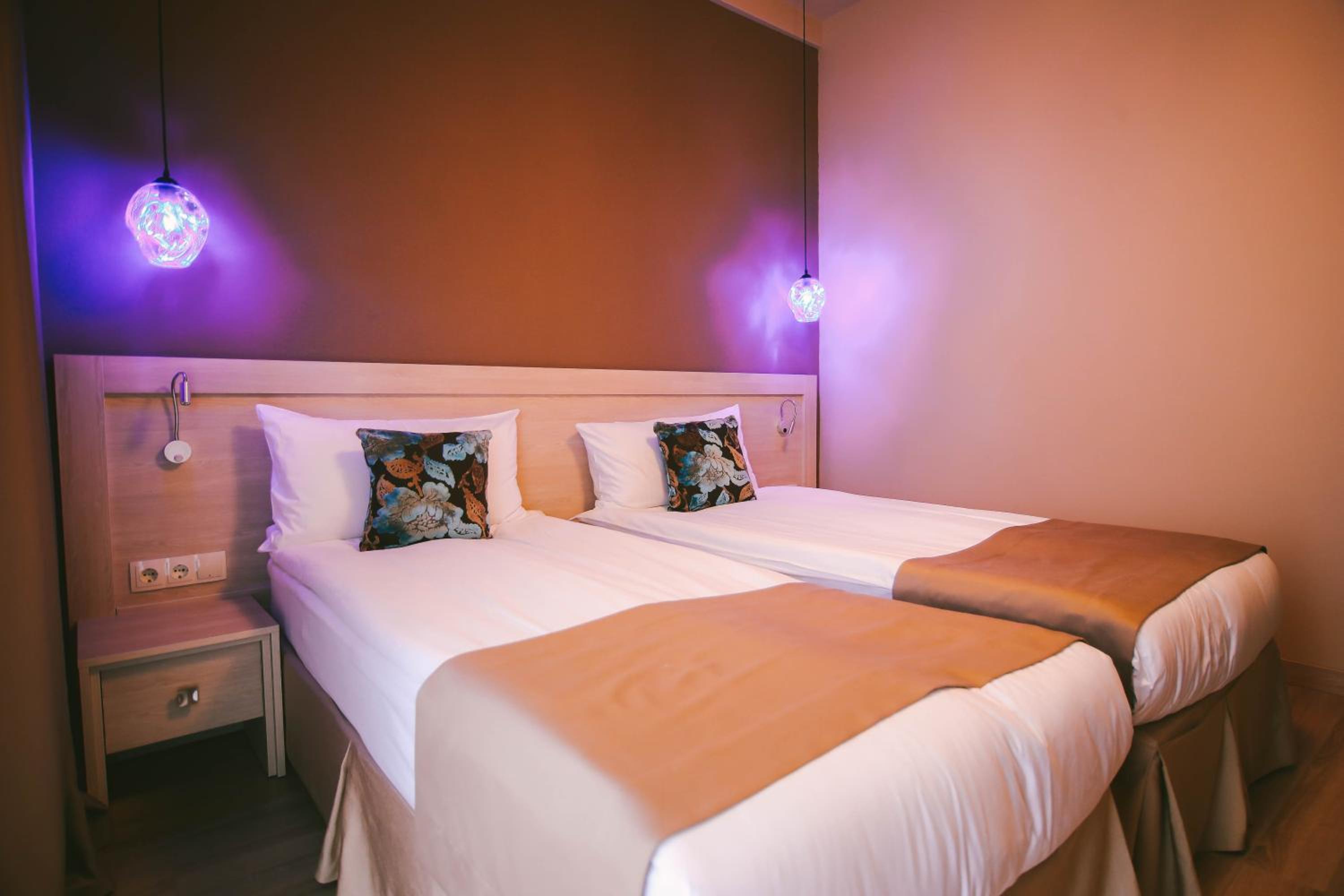 Twin Room photo 3