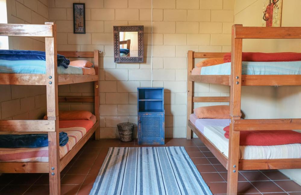 Bed in 6-Bed Mixed Dormitory Room photo 3