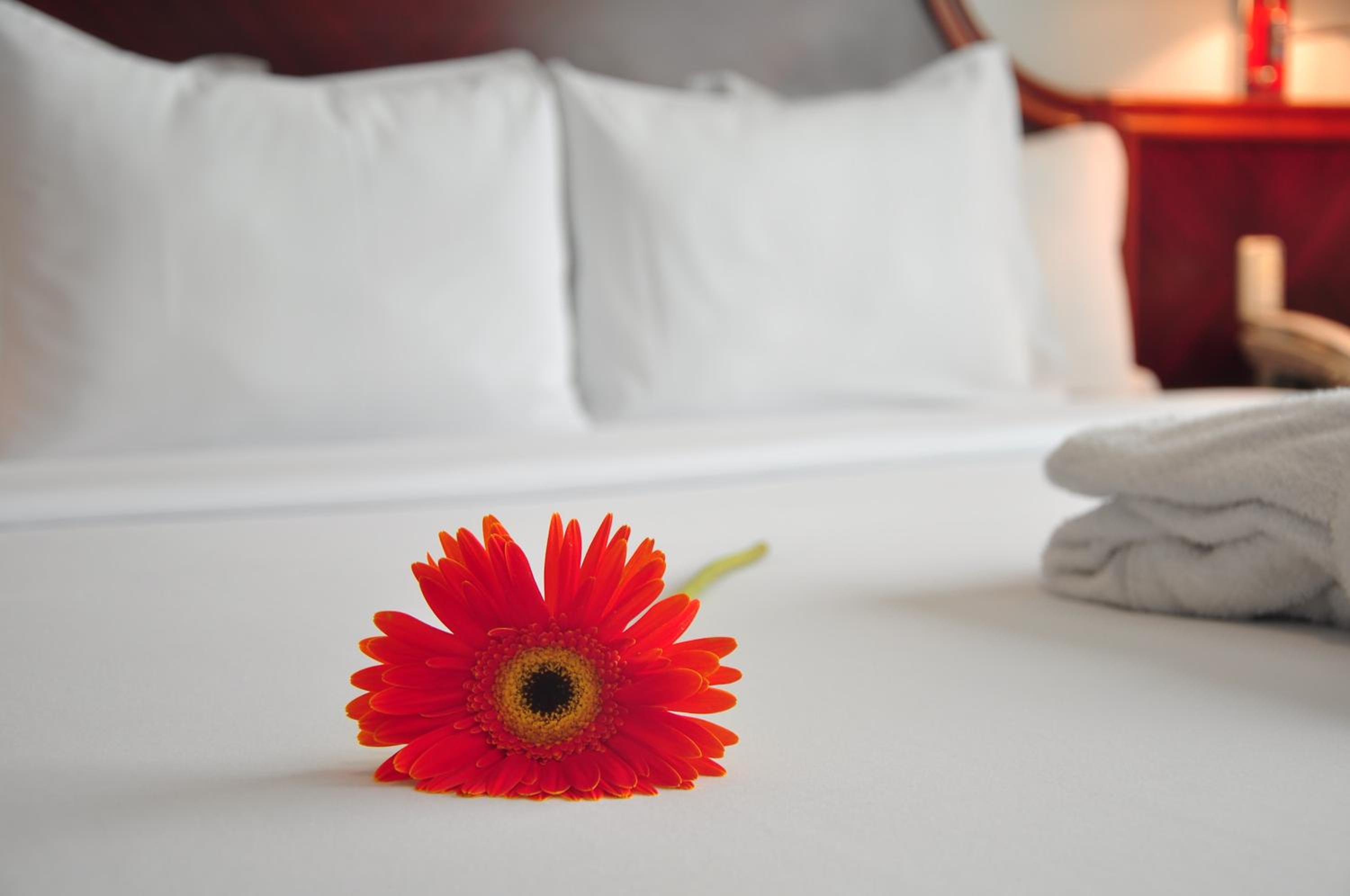 Business Single Room
