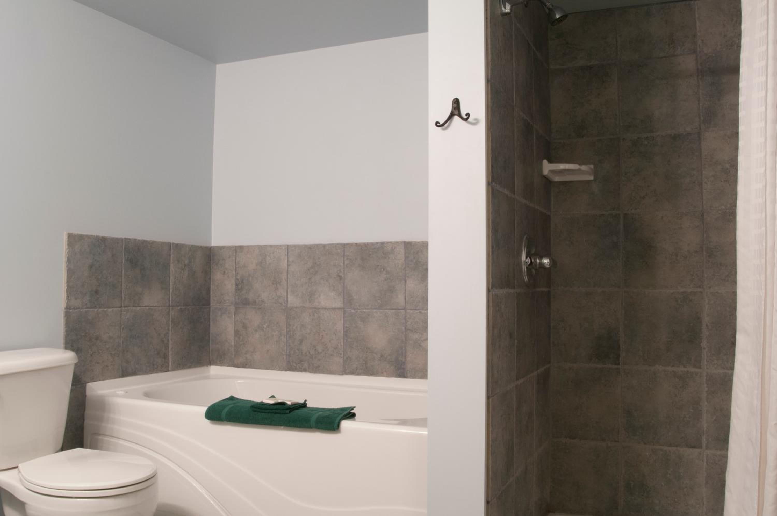 Two-Bedroom Suite - Non-Smoking photo 3