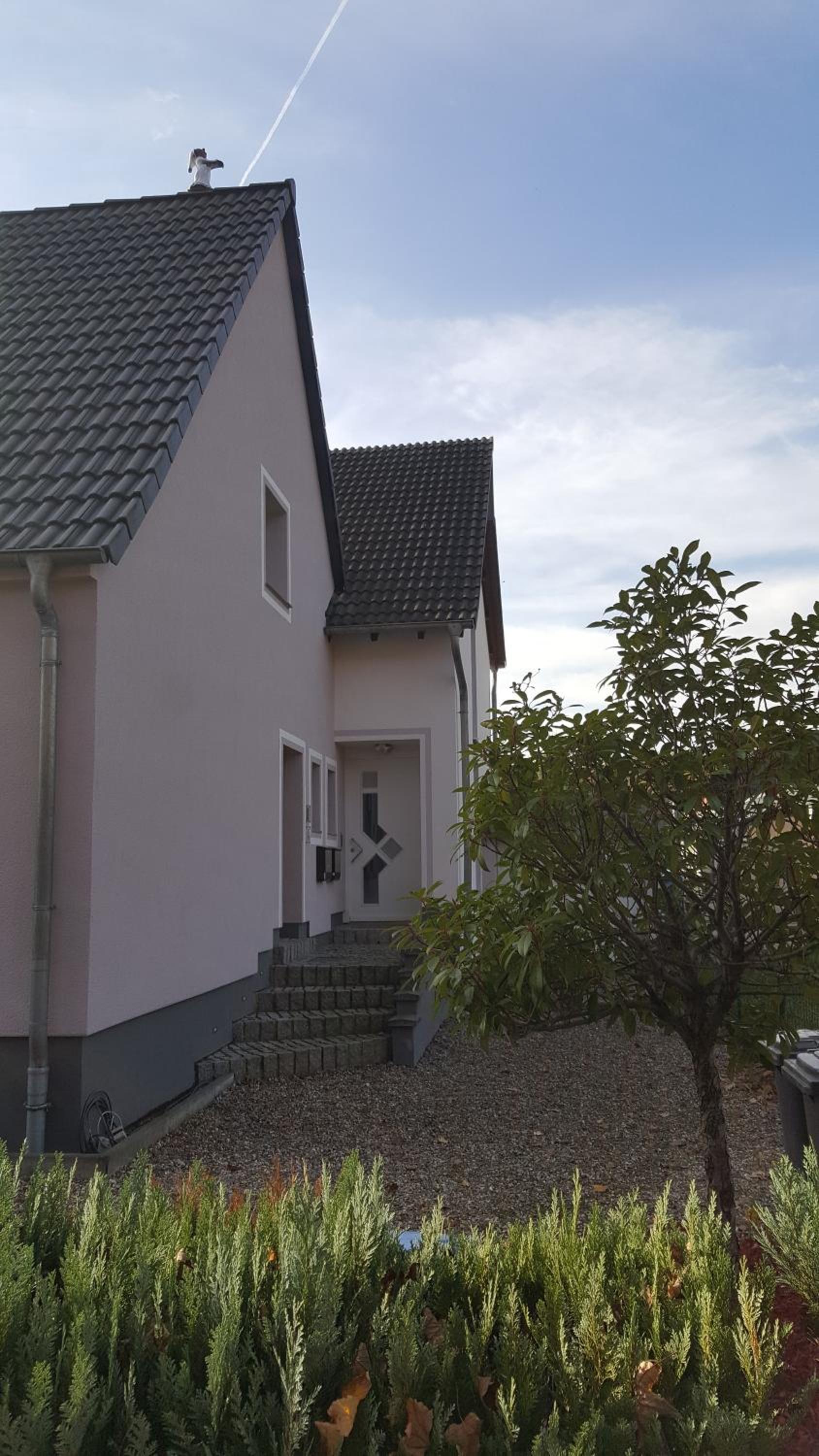 Apartment - Split Level photo 2