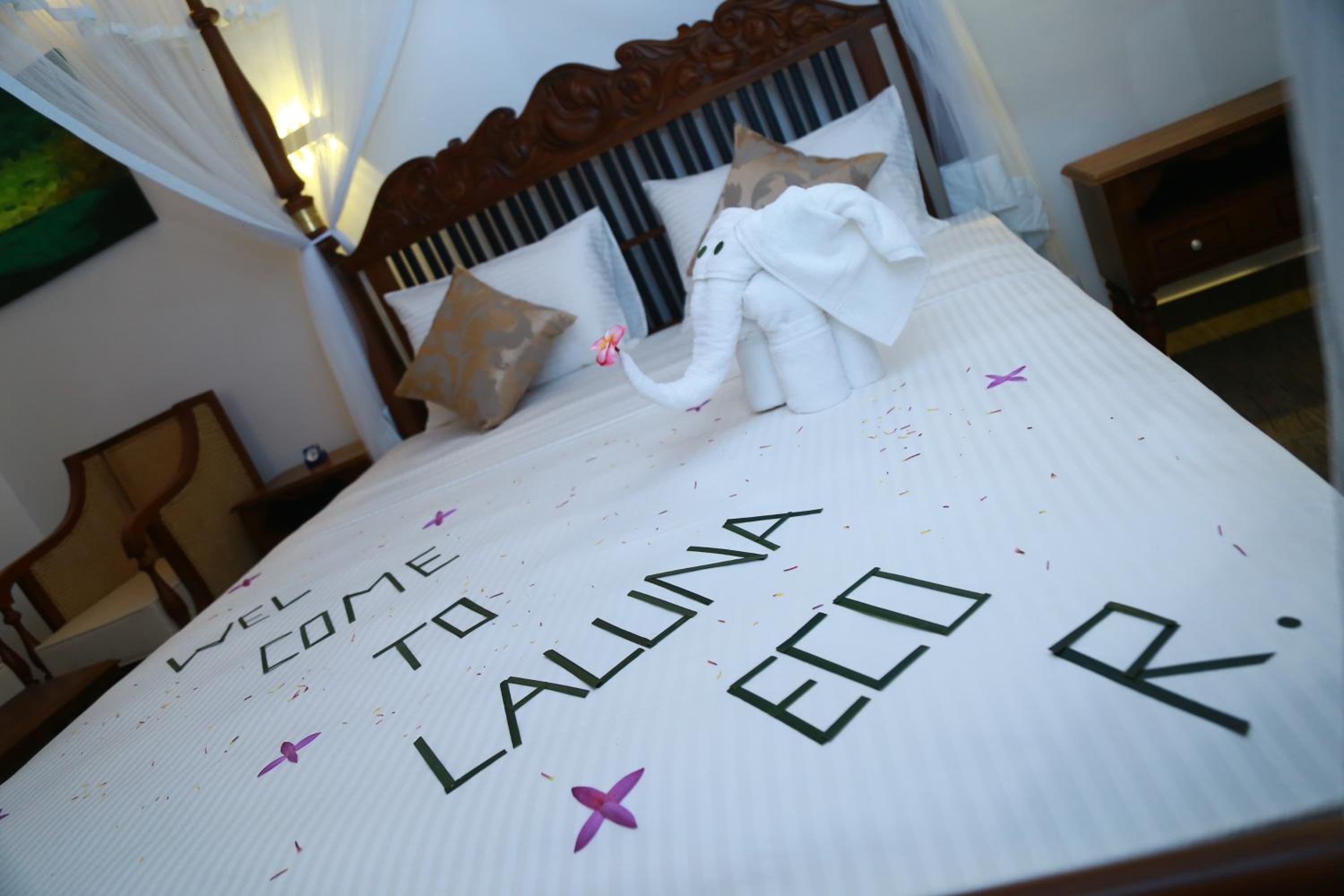 Deluxe Double Room (2 Adults + 1 Child)