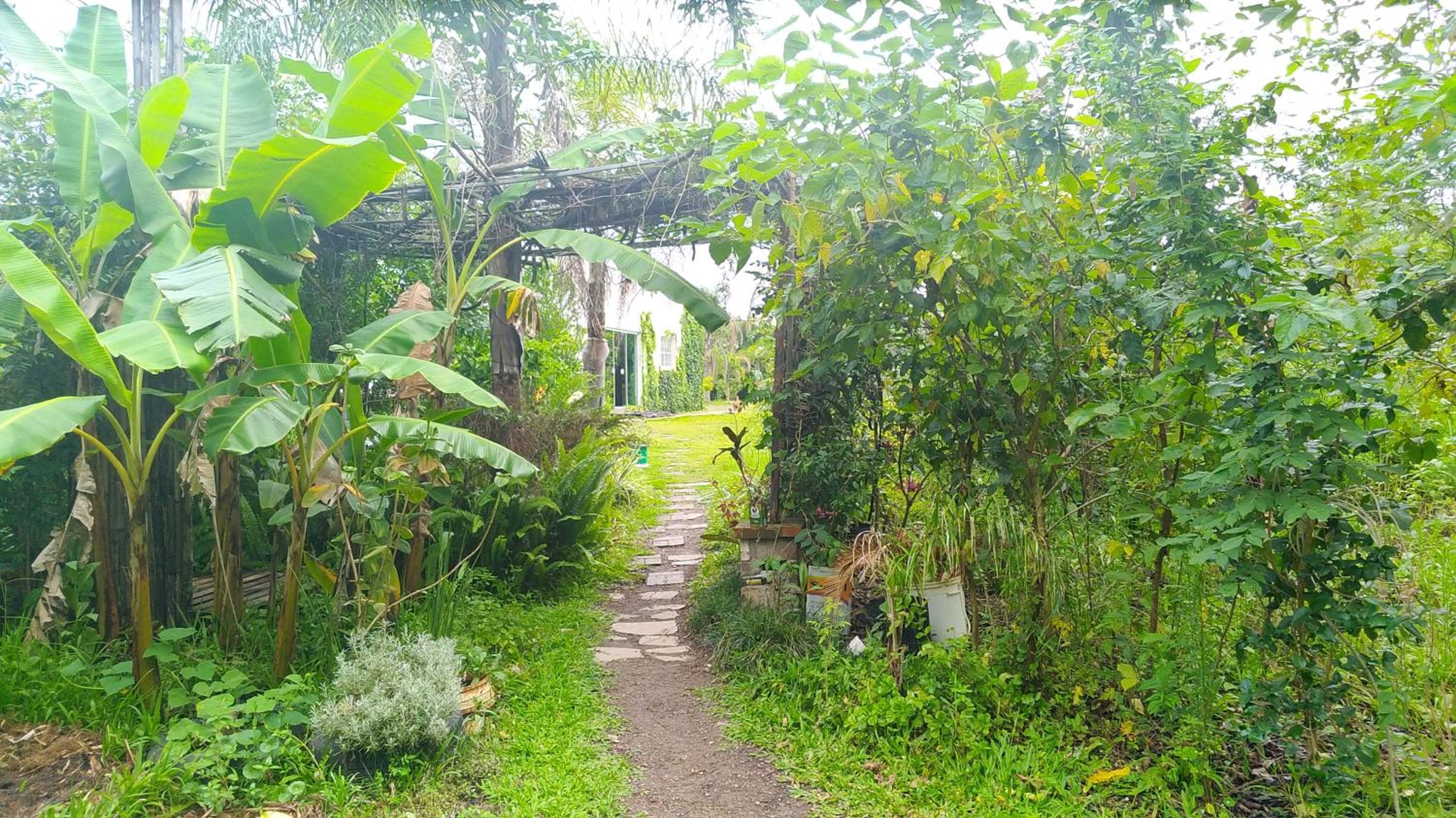 Superior Double or Twin Room with Garden View - Photo 16