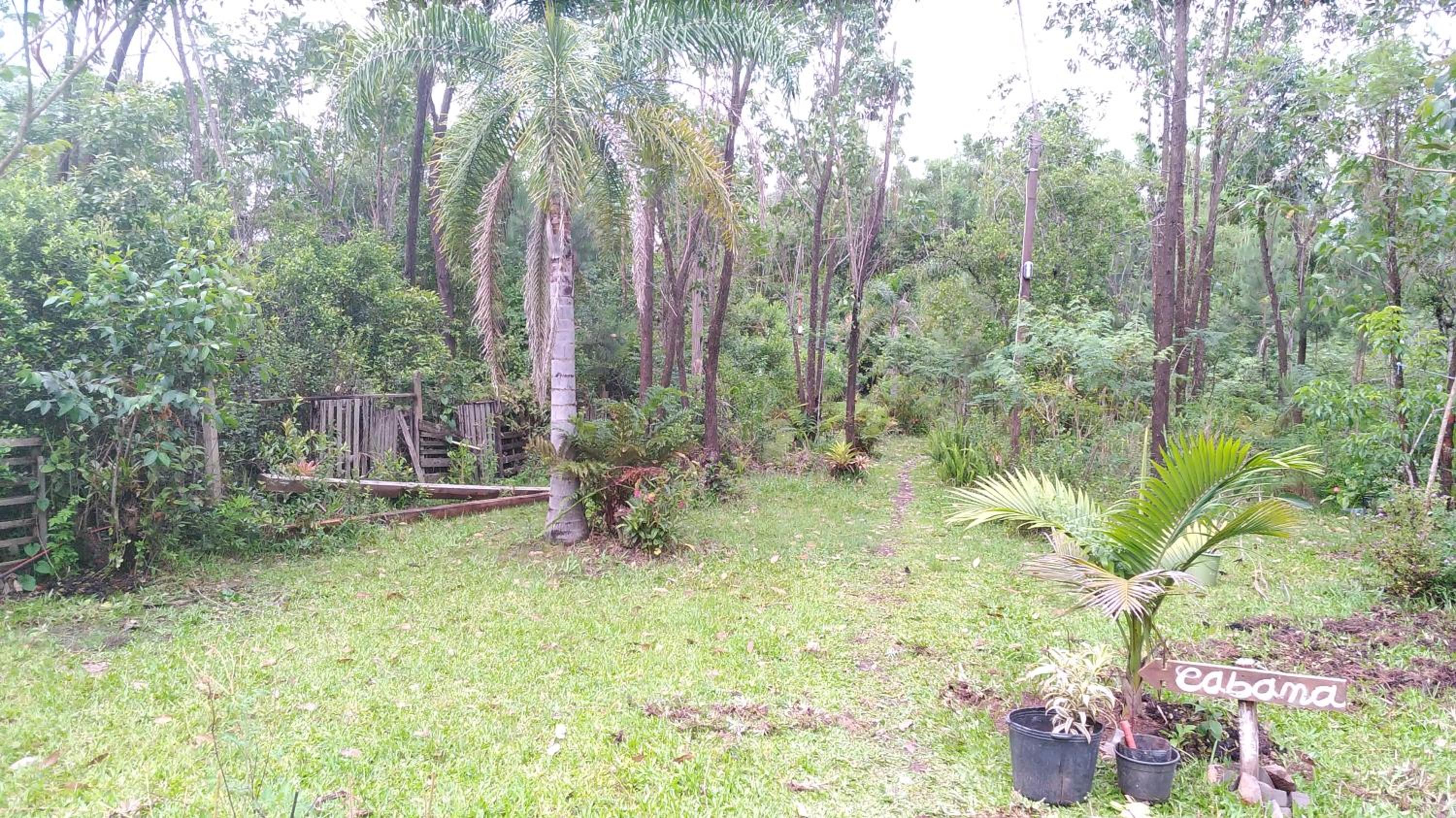 Superior Double or Twin Room with Garden View - Photo 9