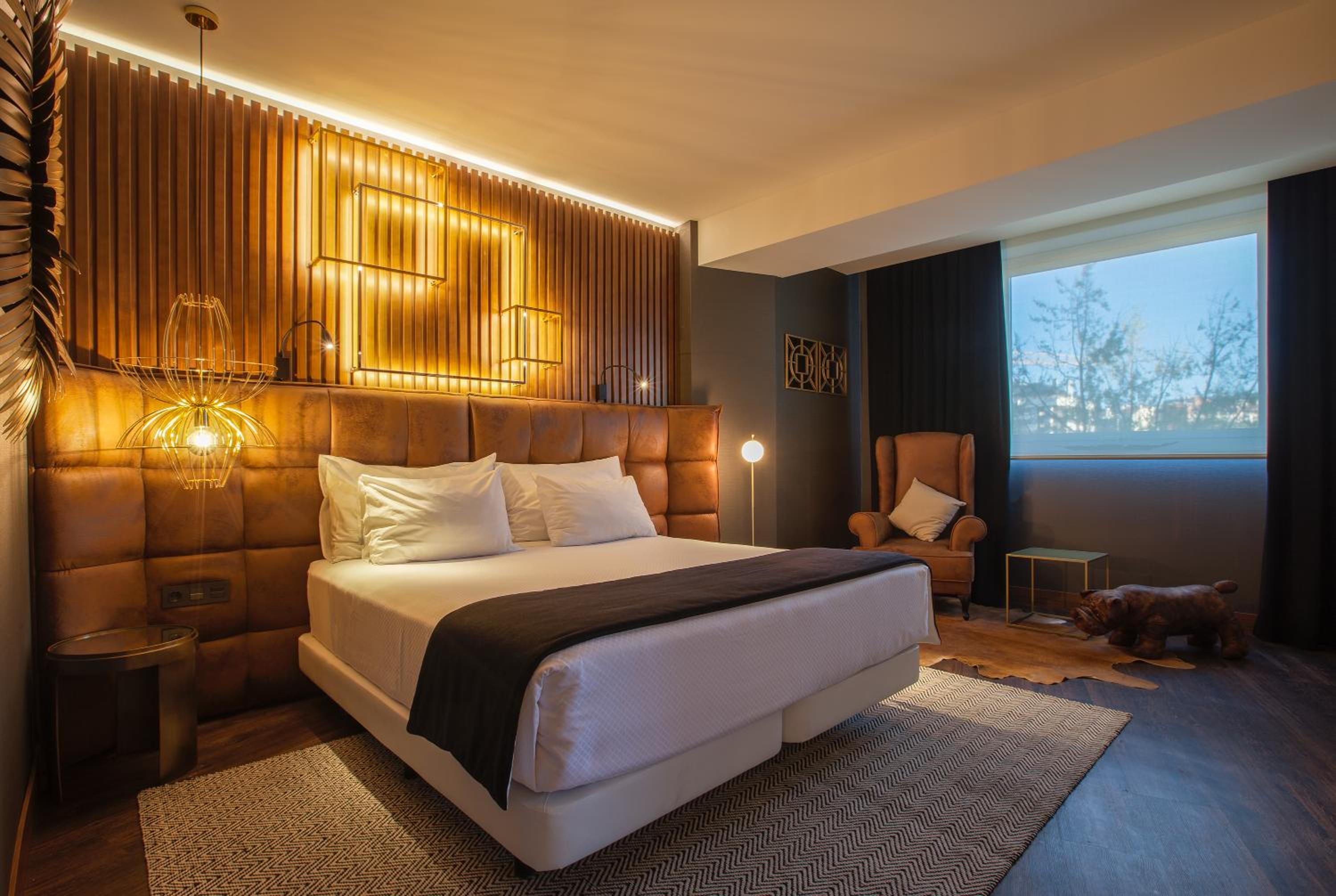 Suite - Photo 2