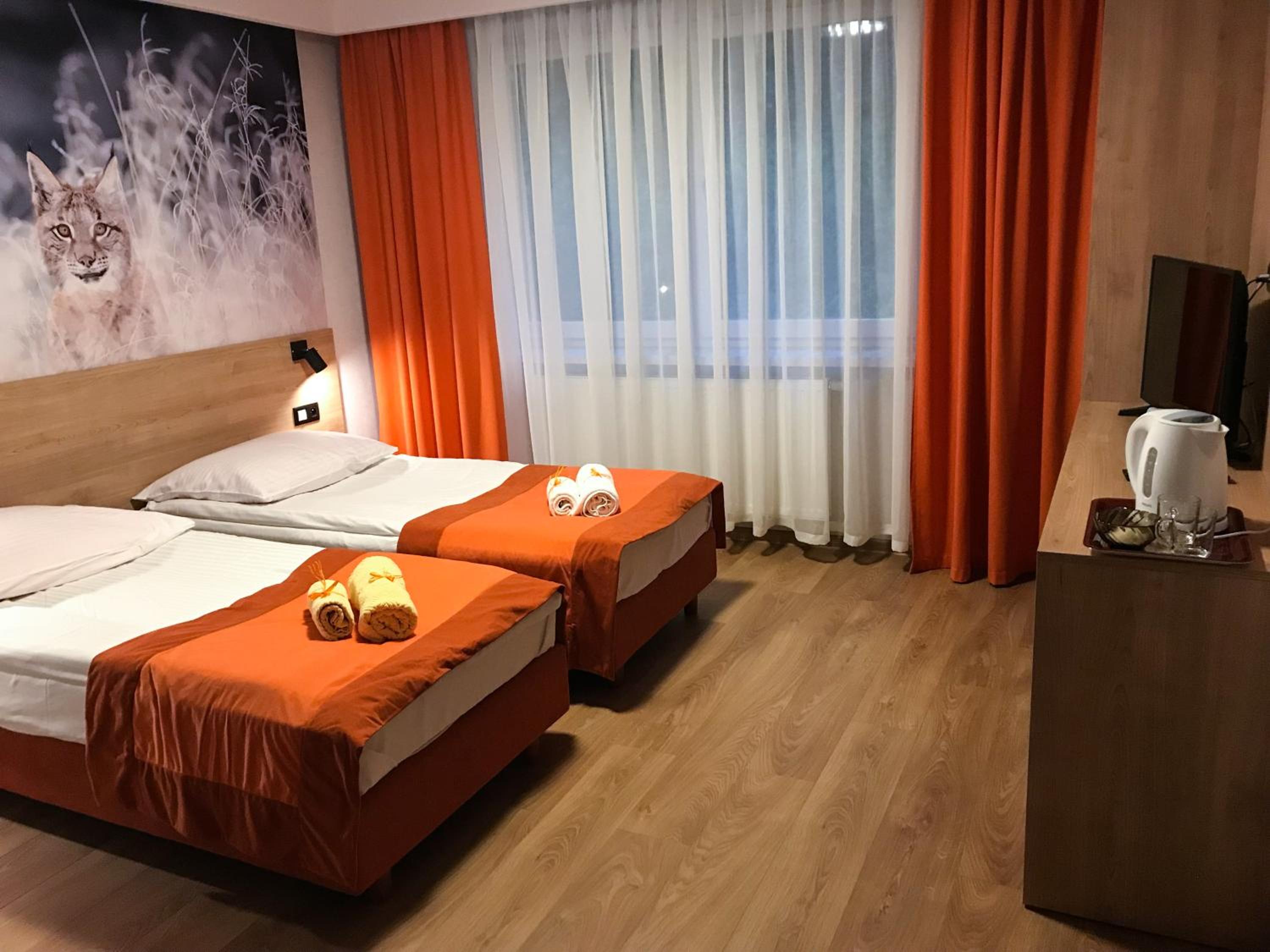 Double Room photo 1
