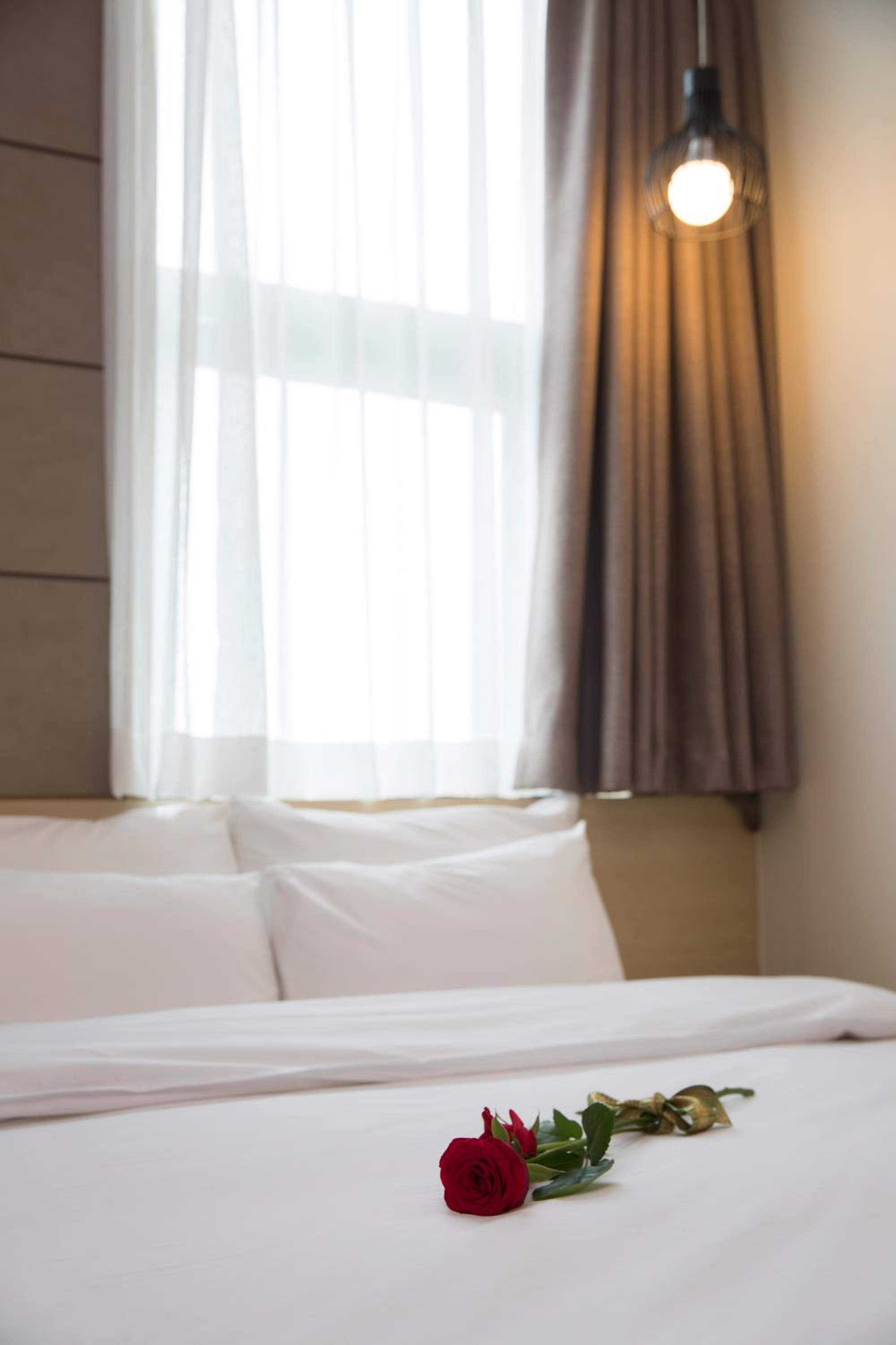 Superior Double Room photo 3
