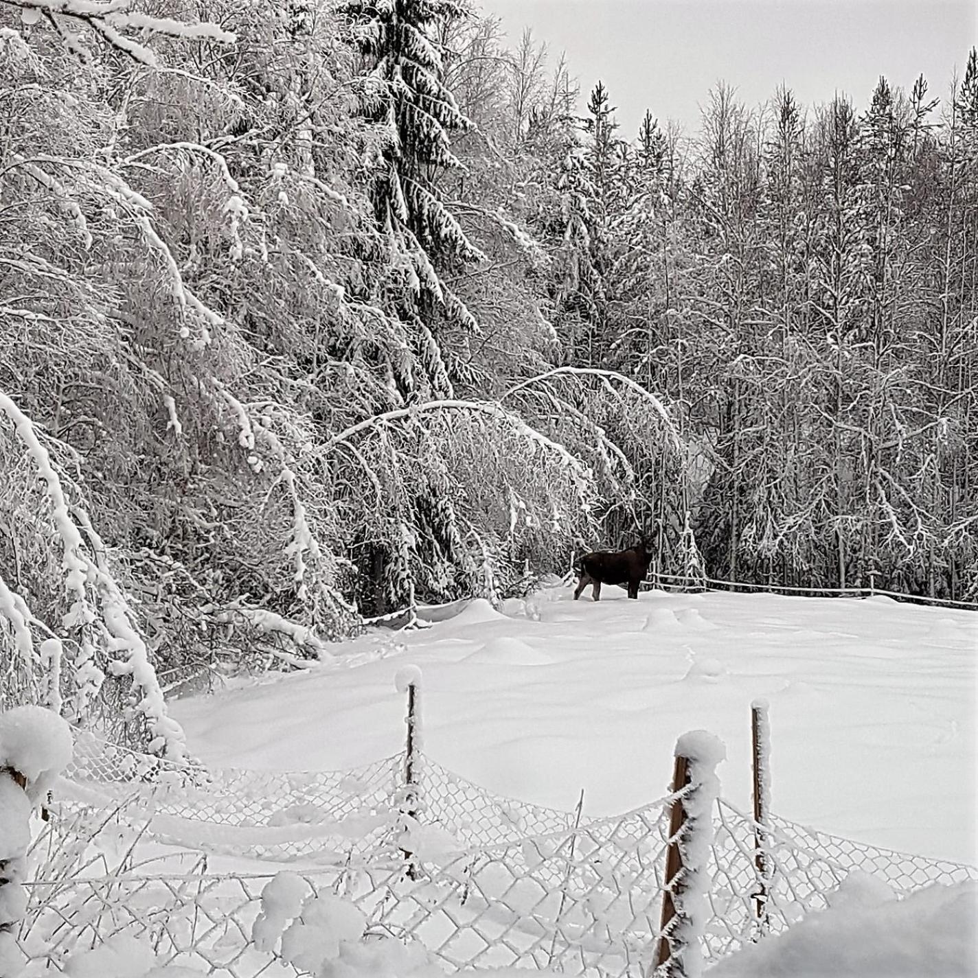 Two-Bedroom House photo 2