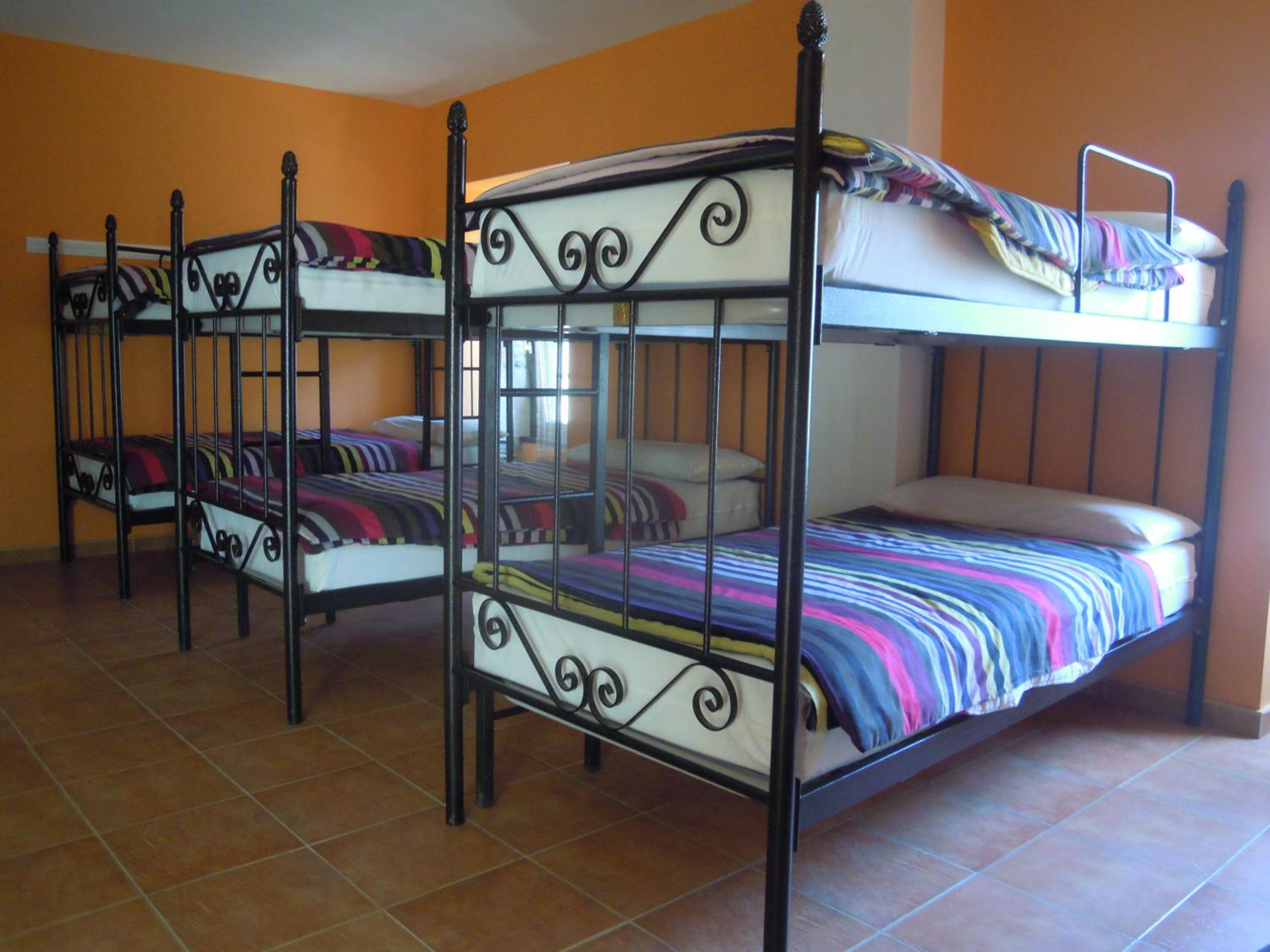 Single Bed in Mixed Dormitory Room photo 3