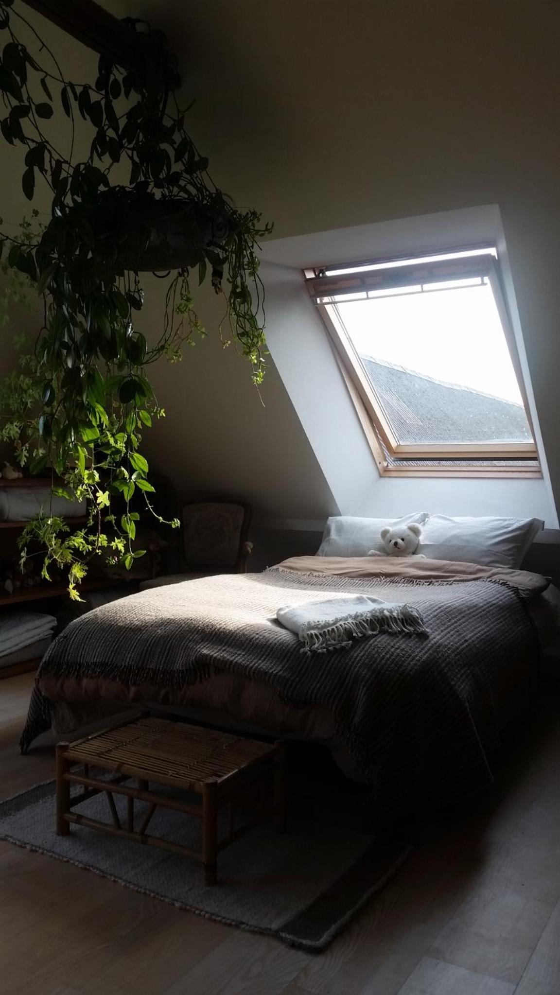 Double Room with Garden View photo 1