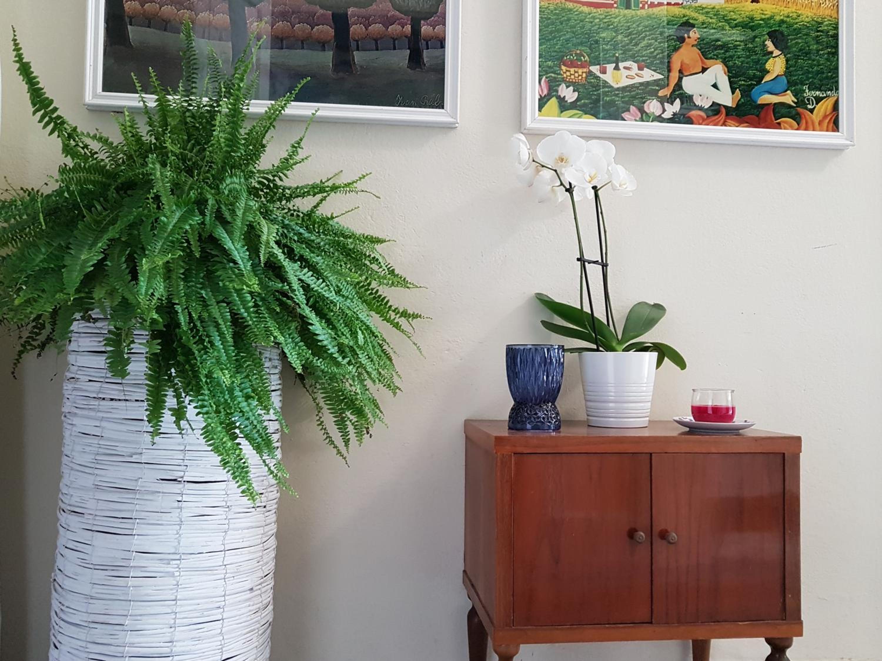Vacation Home - Photo 33