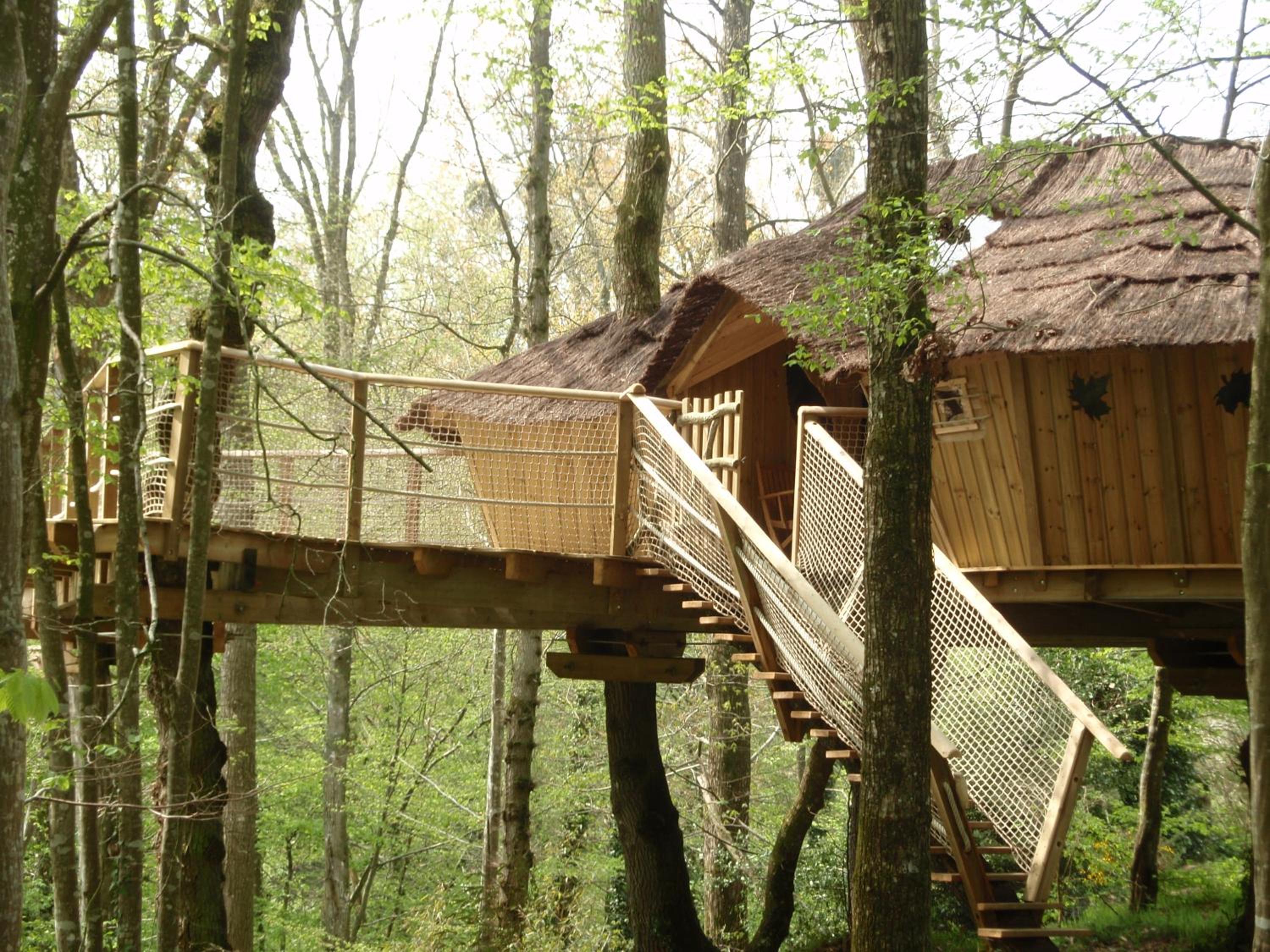 Family Tree House (6 Persons) photo 1