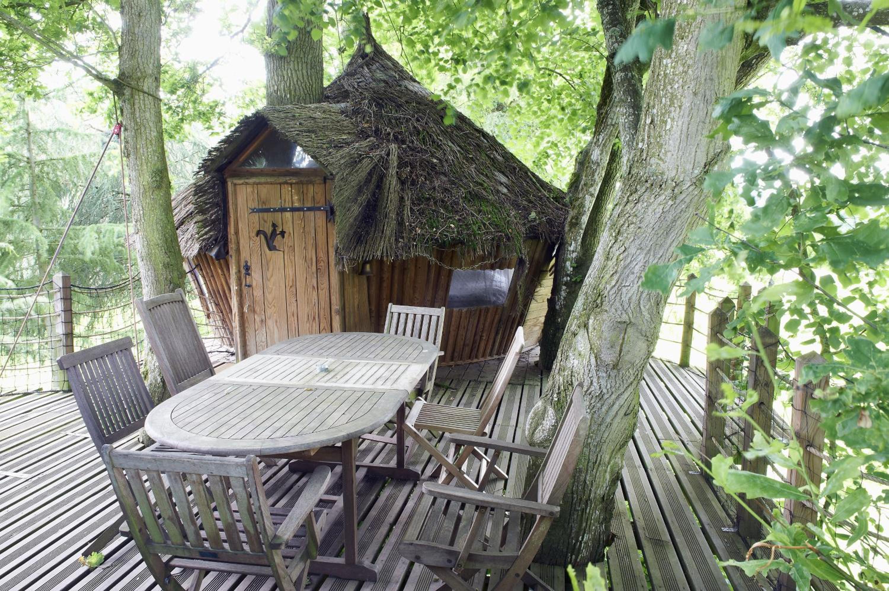 Family Tree House (6 Persons) photo 3