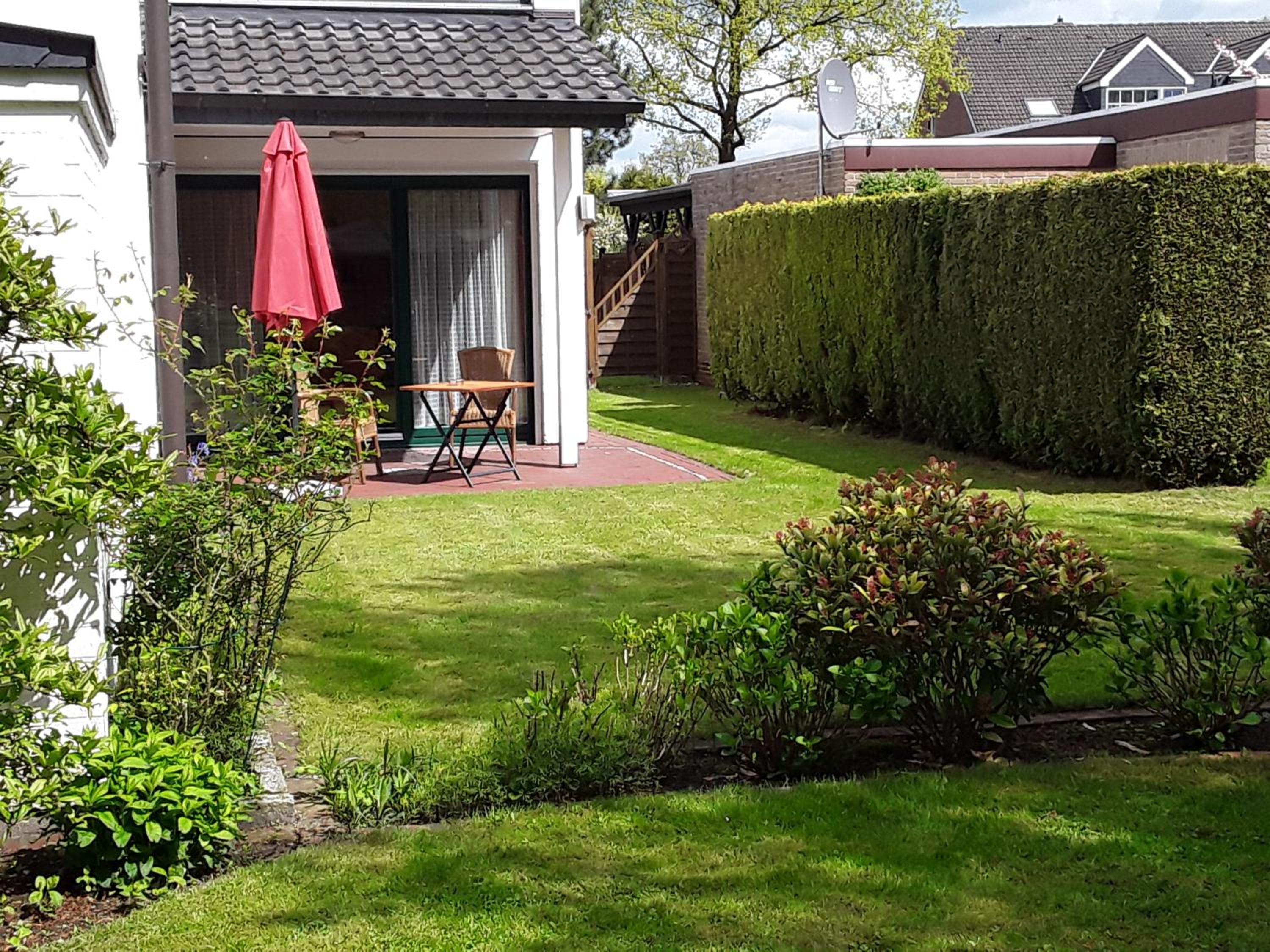Apartment with Terrace photo 3
