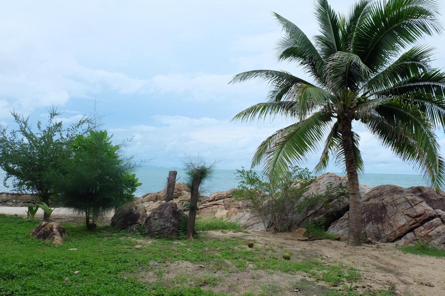 Bungalow With Sea View photo 2