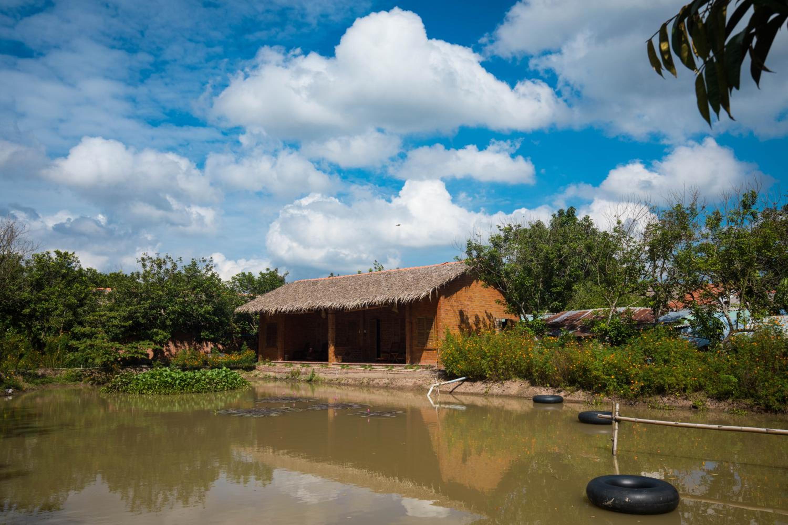 Family Bungalow photo 3