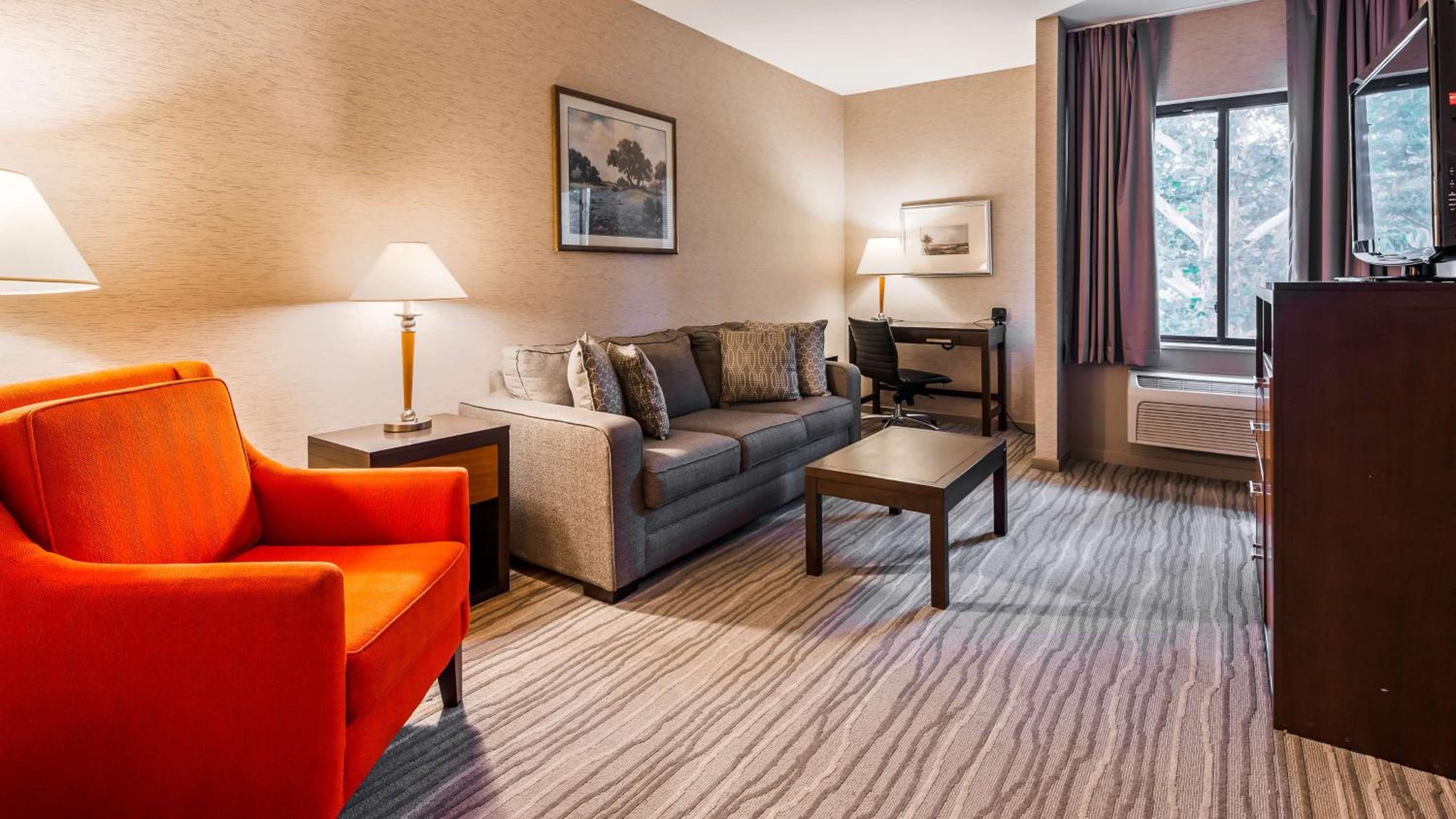 One Bedroom King Suite with Sofa Bed photo 2