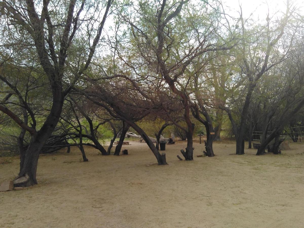 Basic Camp Site (Bring your own tent) photo 2