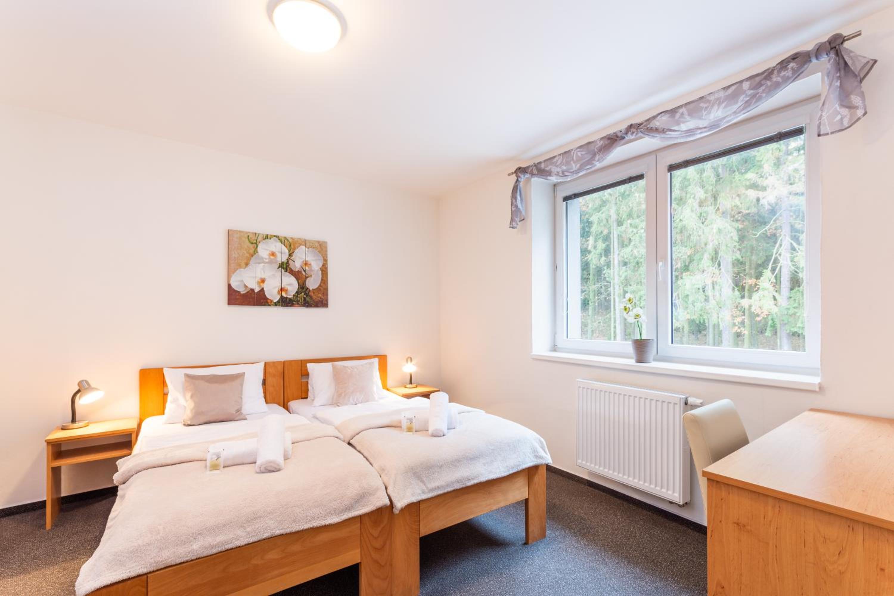 Standard Double Room photo 3