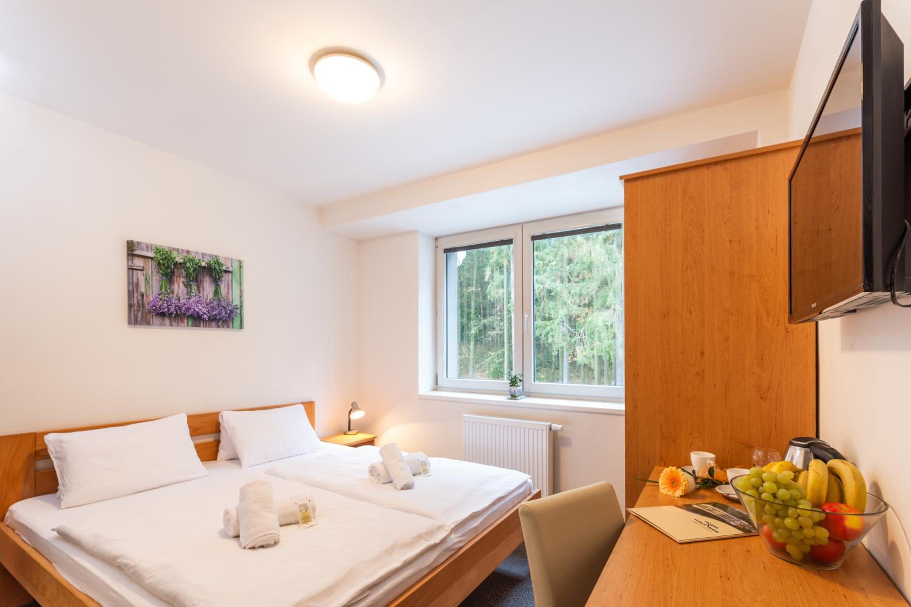 Standard Double Room photo 2