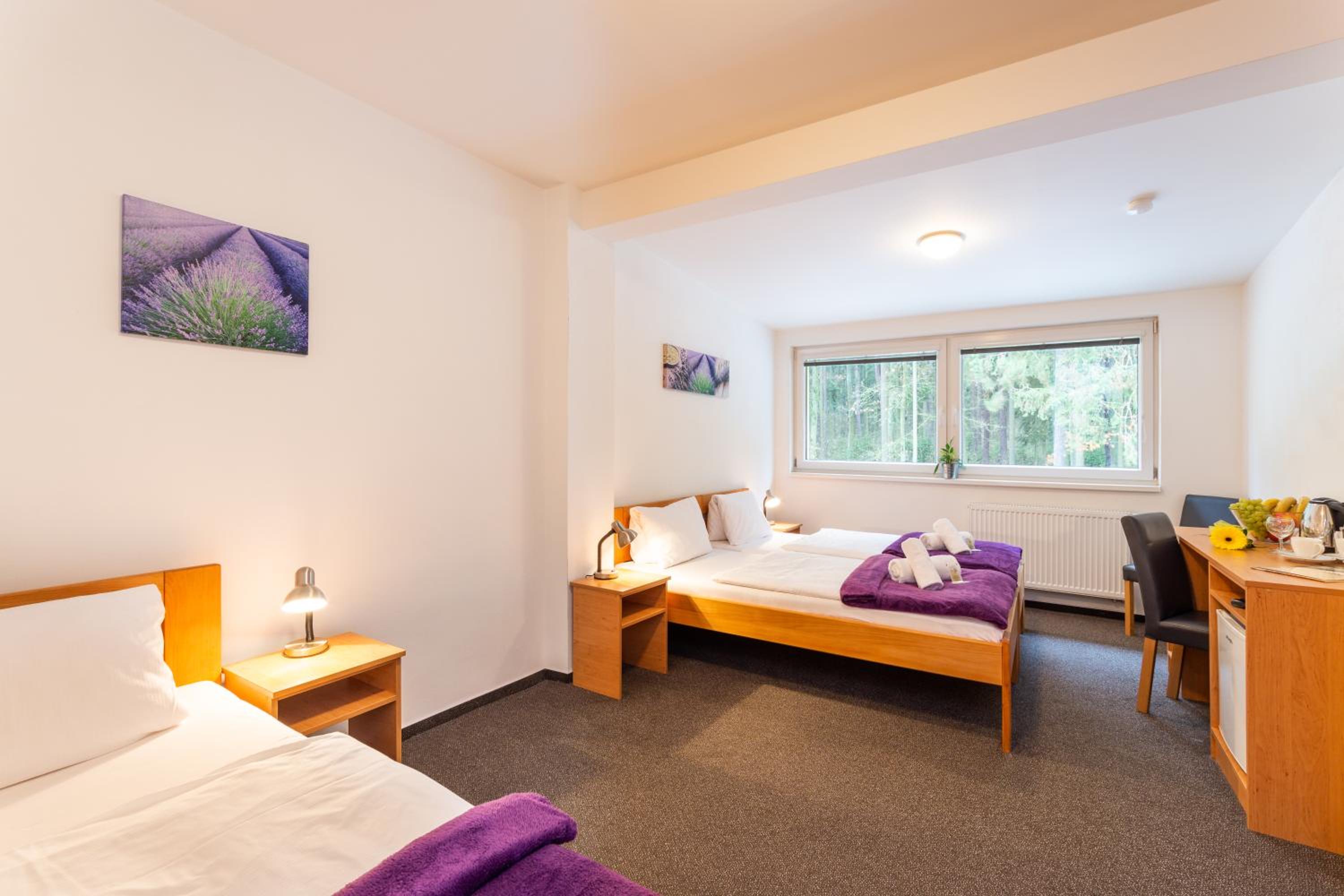 Triple Room photo 1