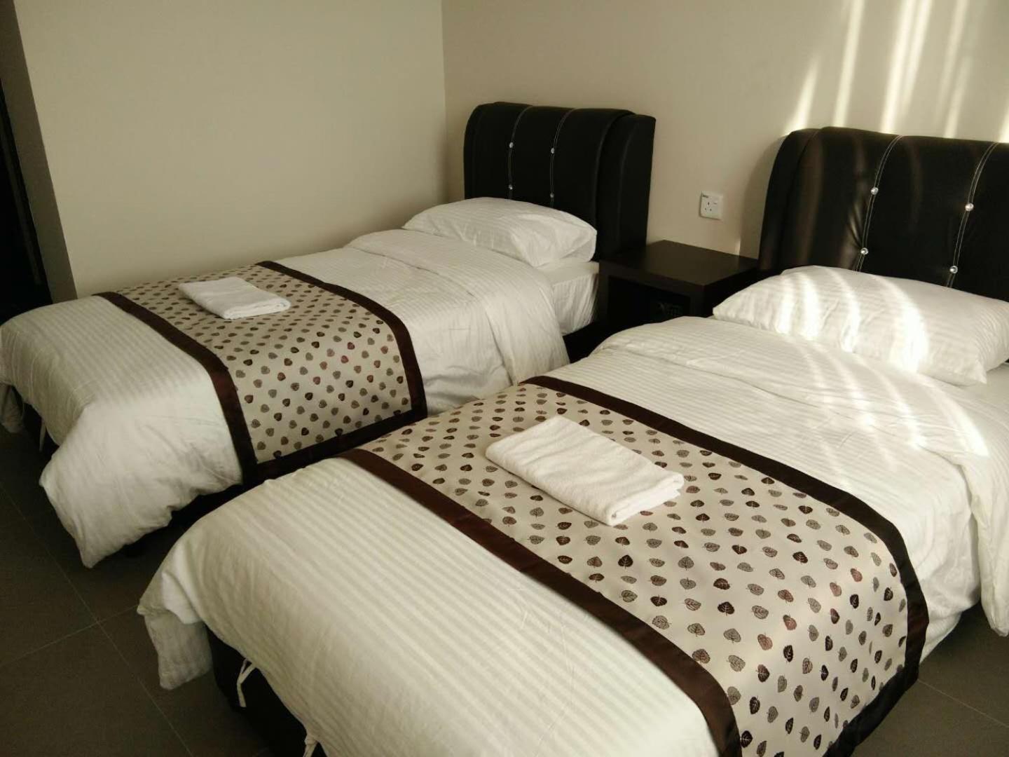 Twin Room photo 2