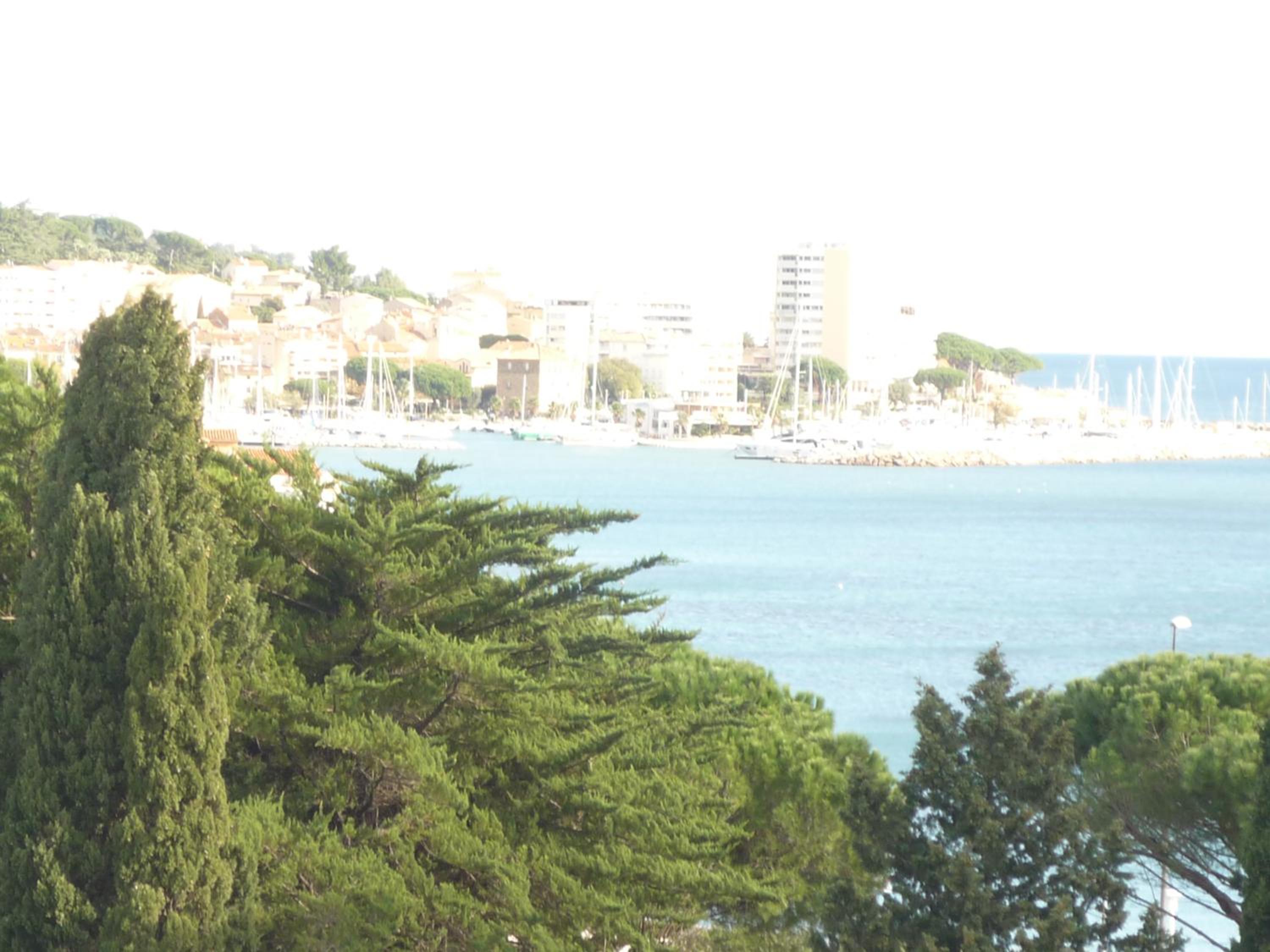 Apartment with Sea View photo 1