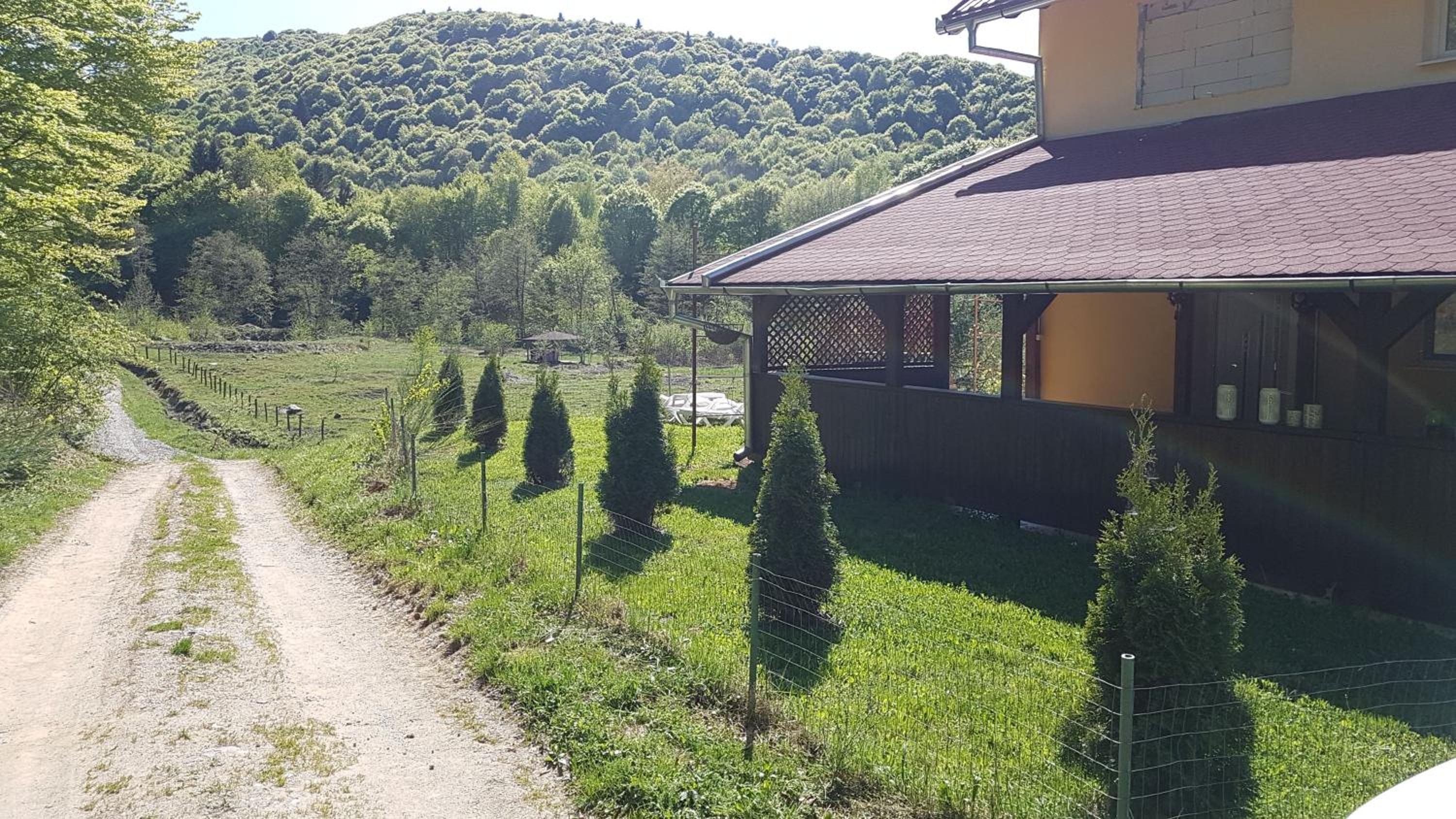 Vacation Home photo 2