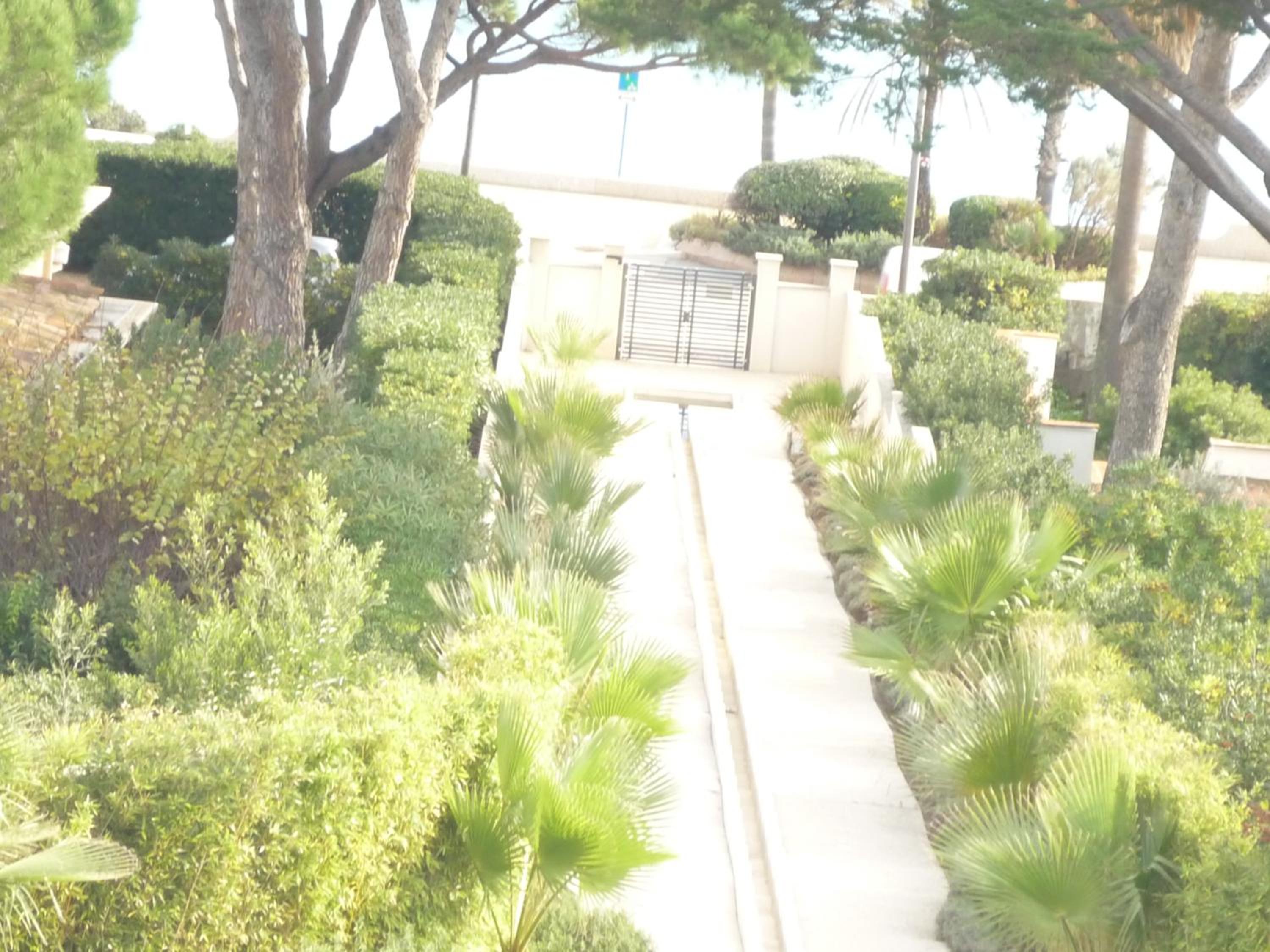 Apartment with Sea View photo 3