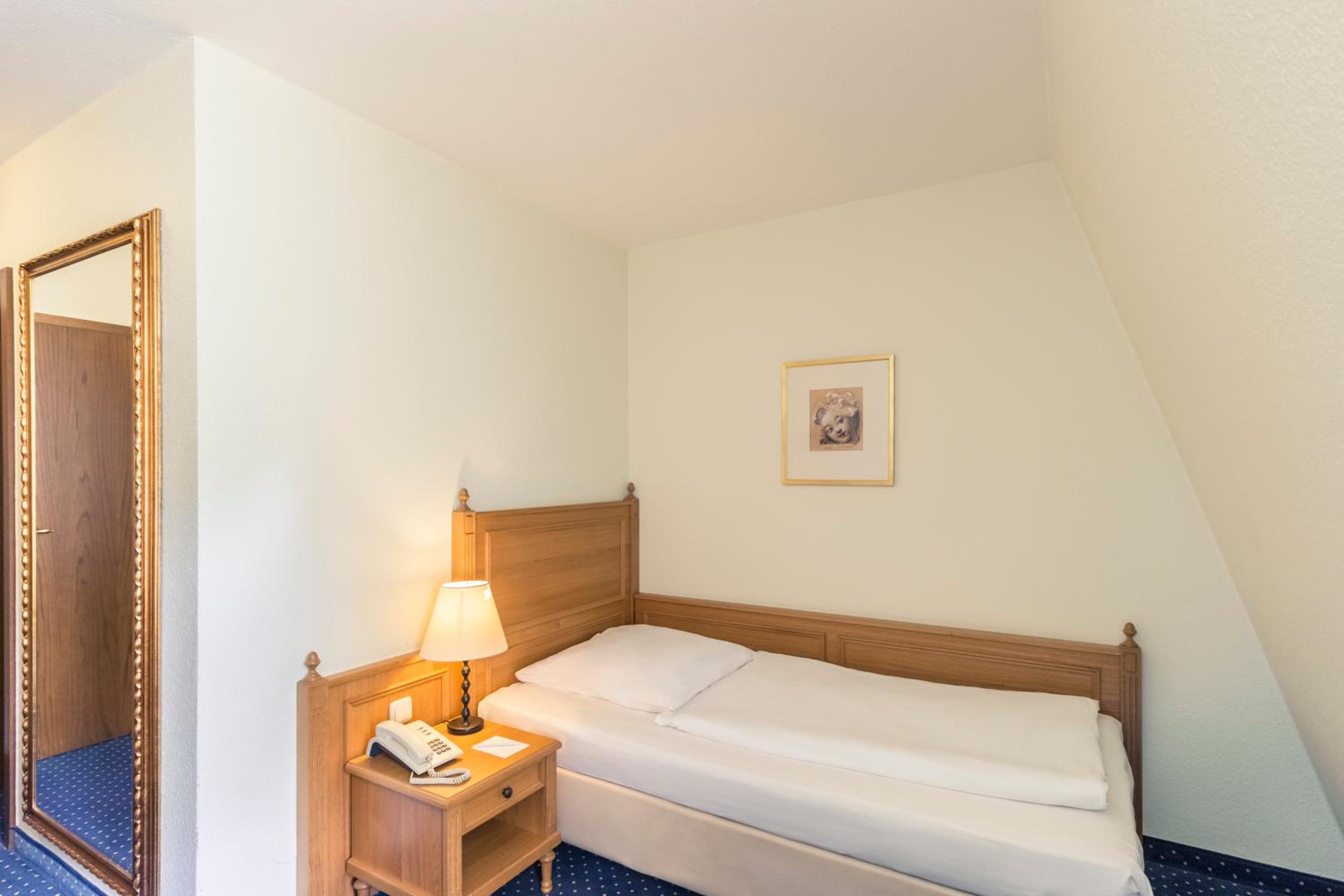 Superior Single Room photo 1