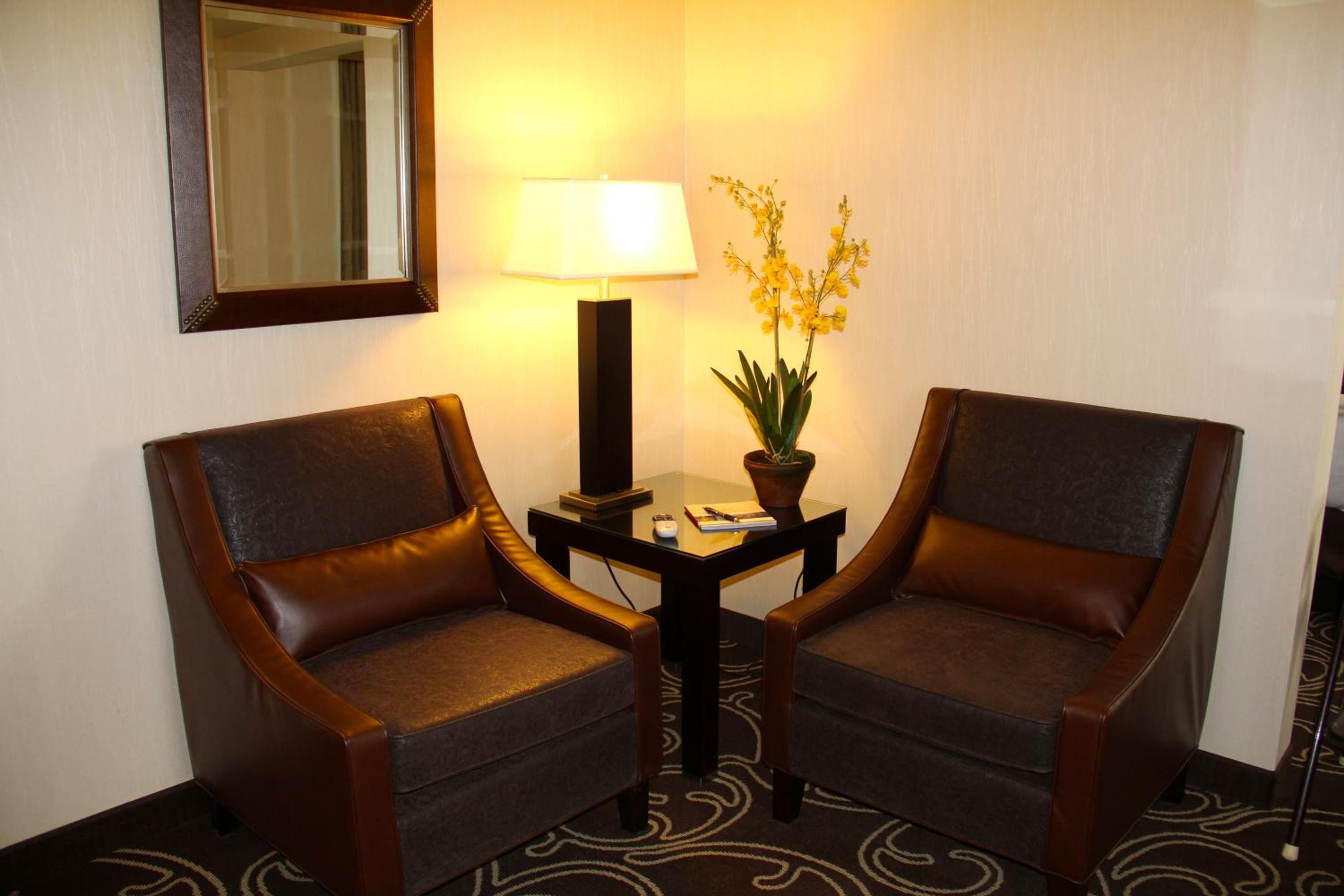 King Suite - Photo 3