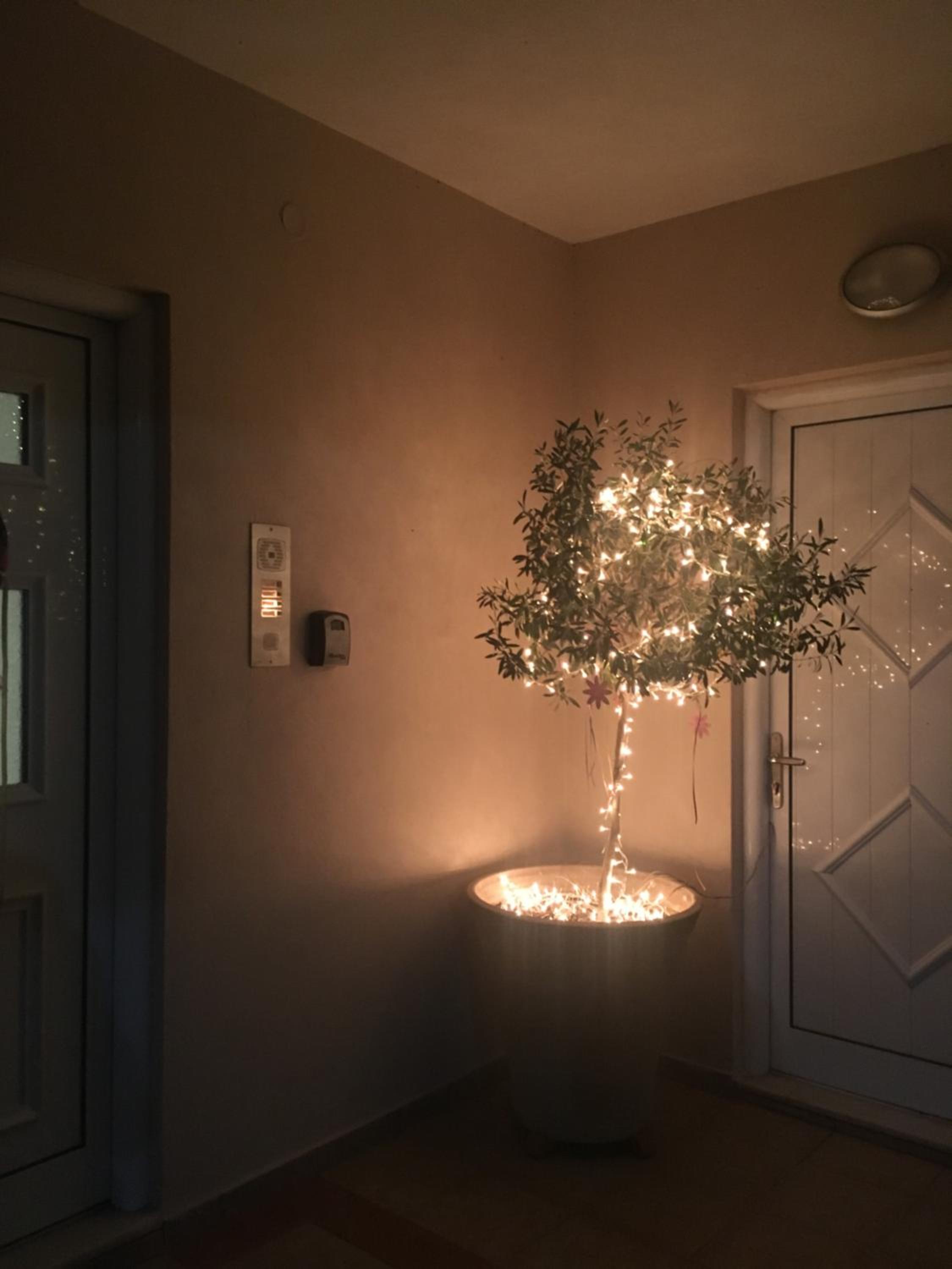 Apartment - Photo 36