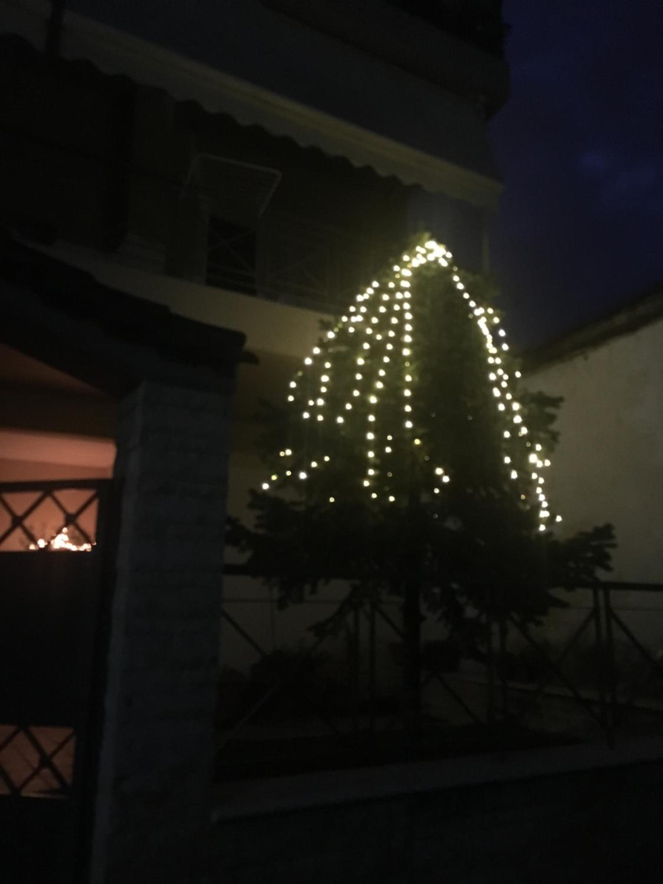 Apartment - Photo 32