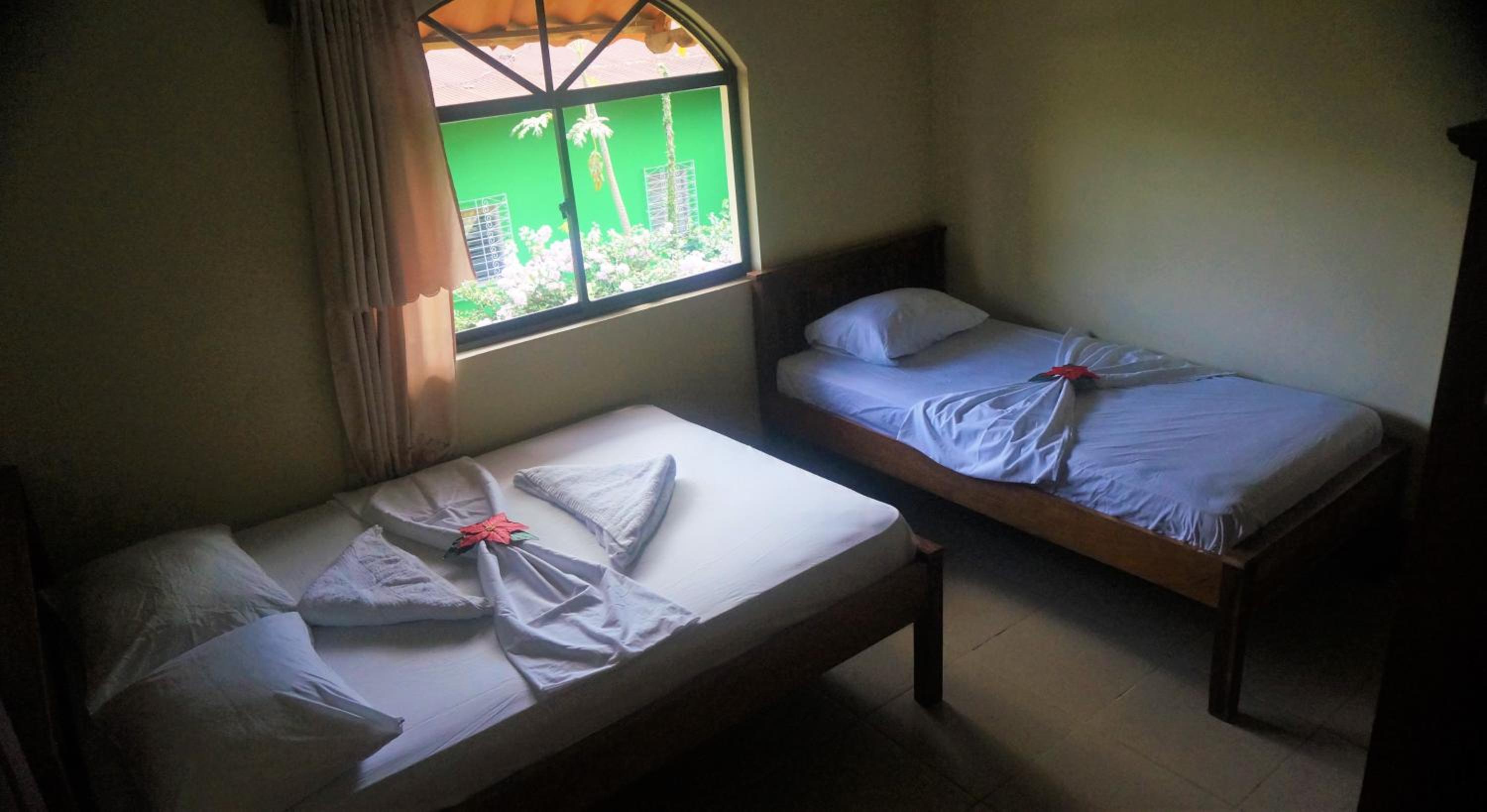 Triple Room with Mountain View photo 3