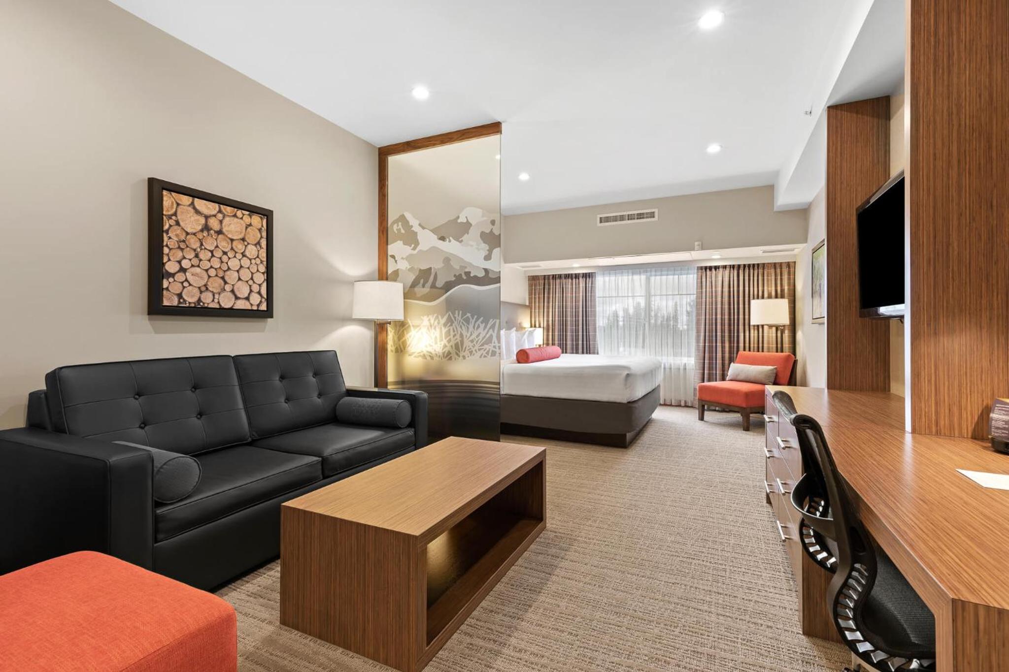 King Suite photo 1