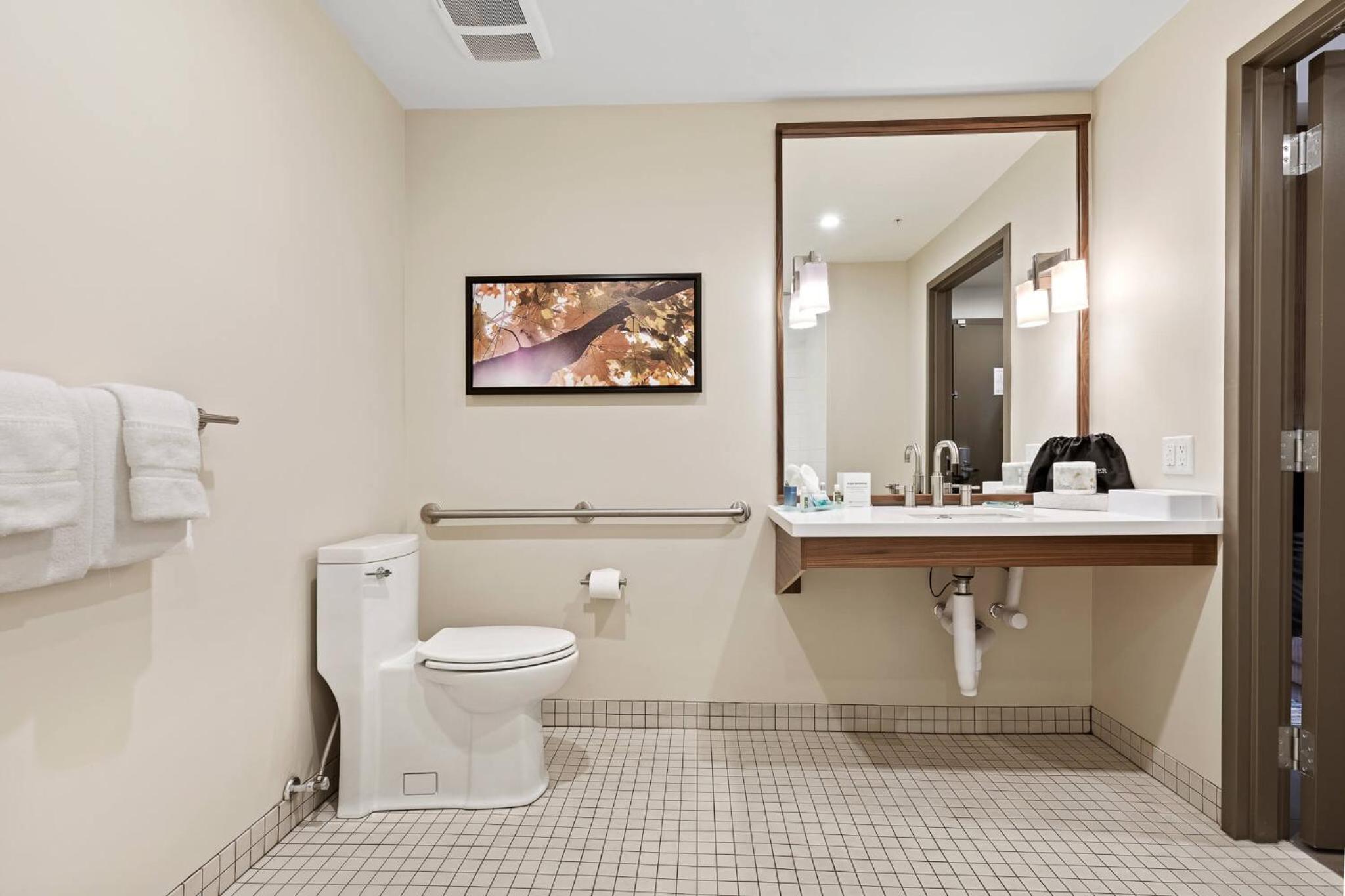 King Room with Roll-In Shower - Disability Access photo 3