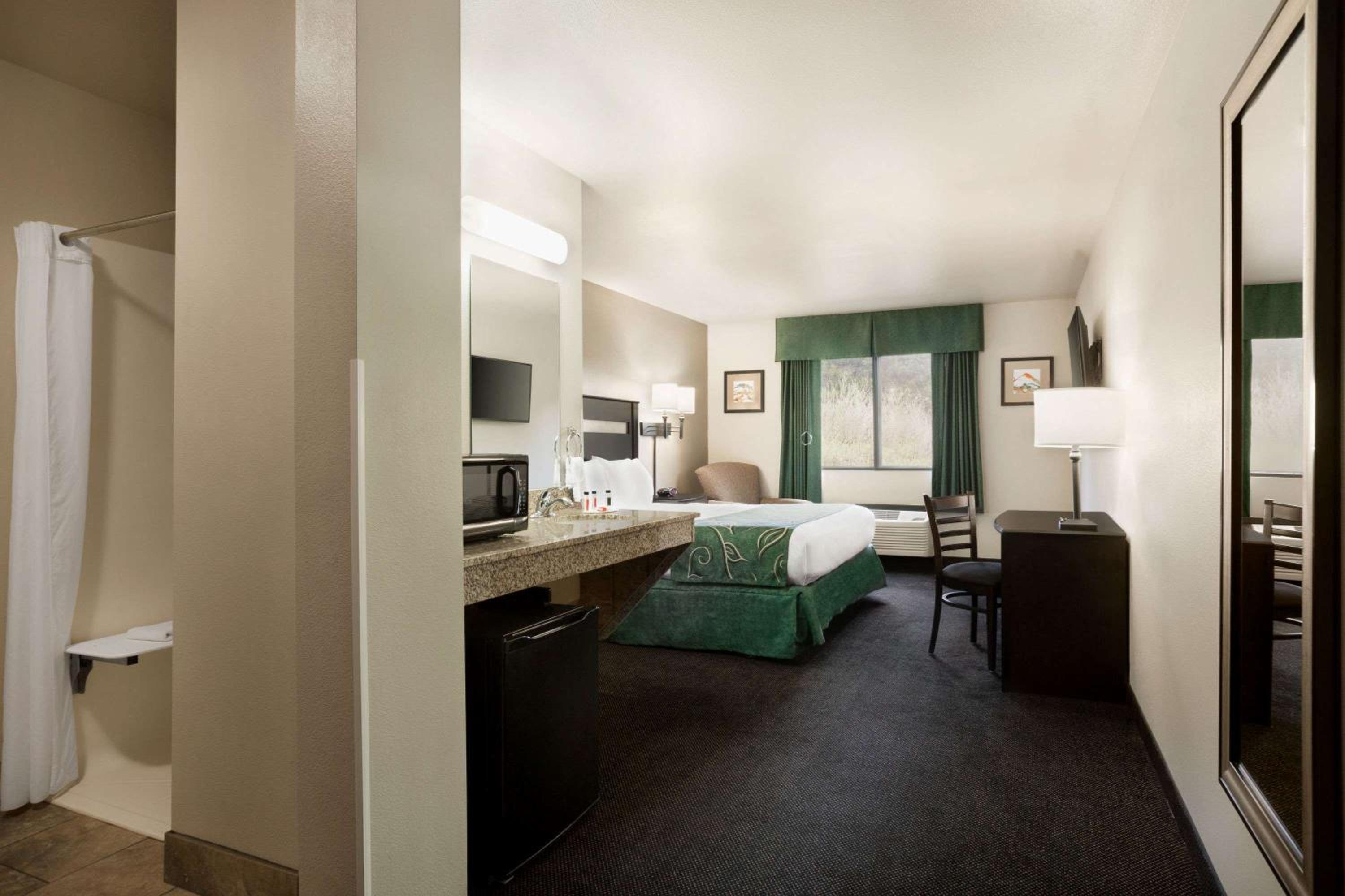 1 King Bed, Mobility Accessible Room, Roll-in Shower Non-Smoking - Photo 3