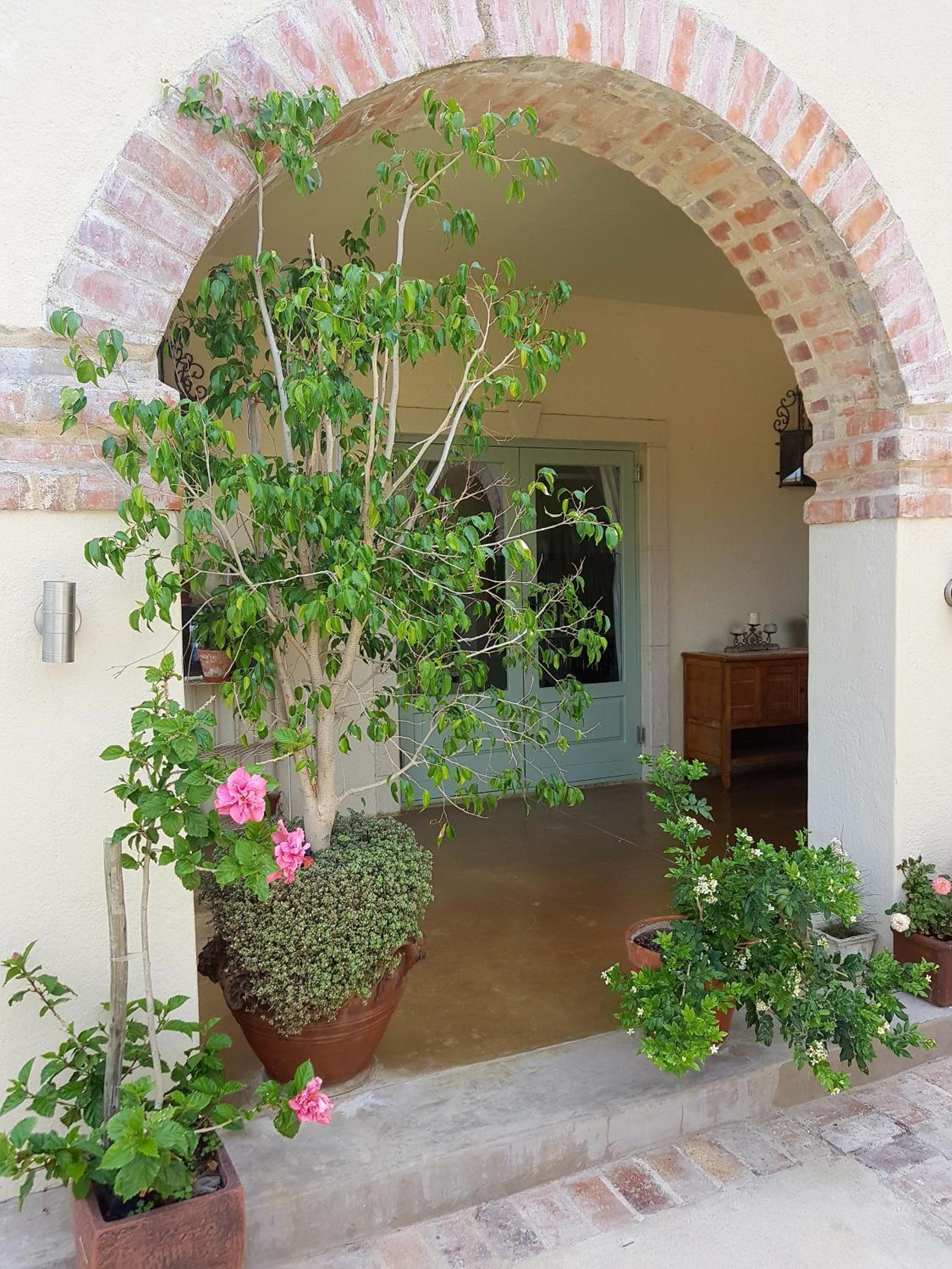 Double Room with Pool View - Photo 8