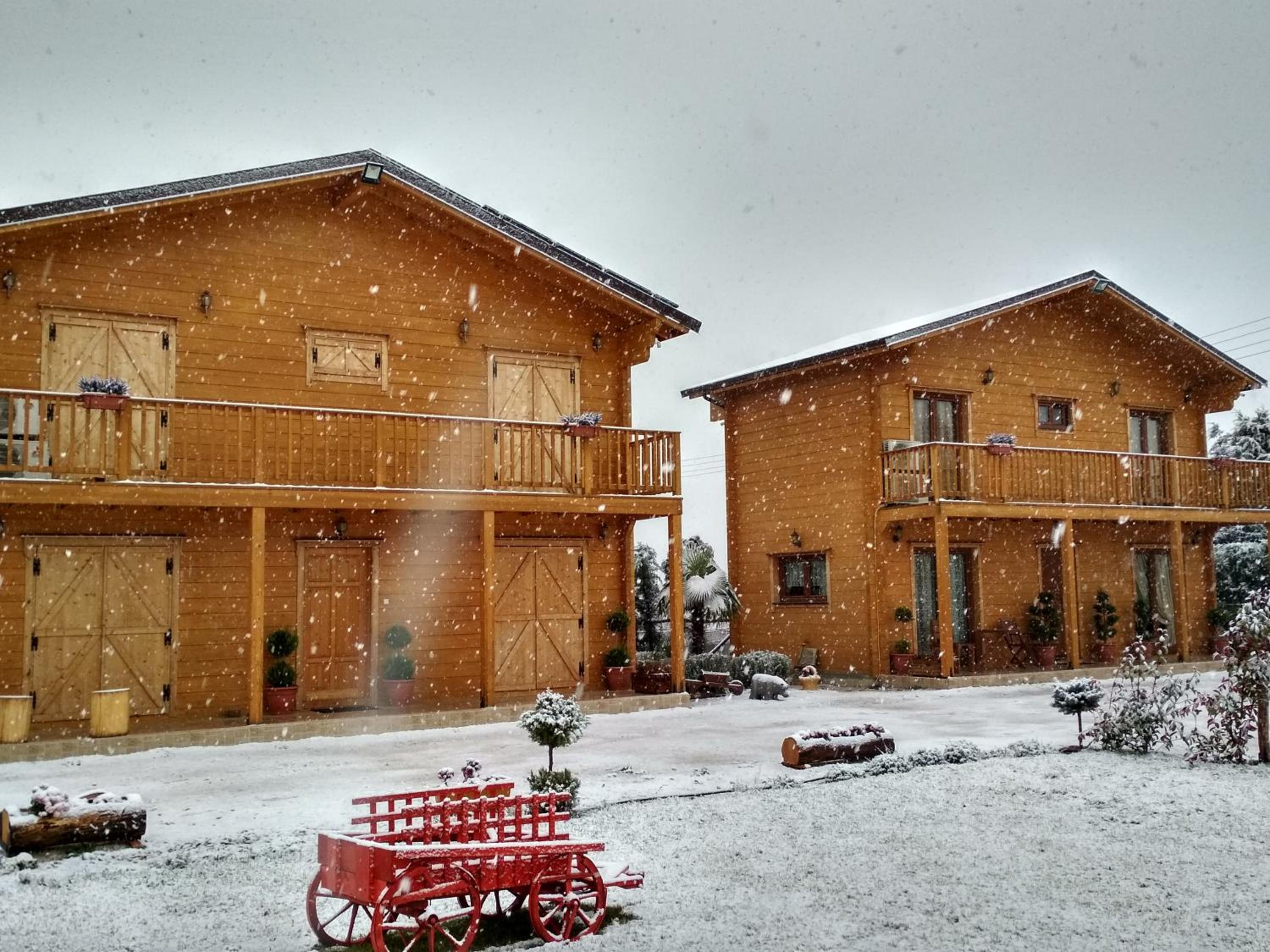 Two-Bedroom Chalet - Photo 88