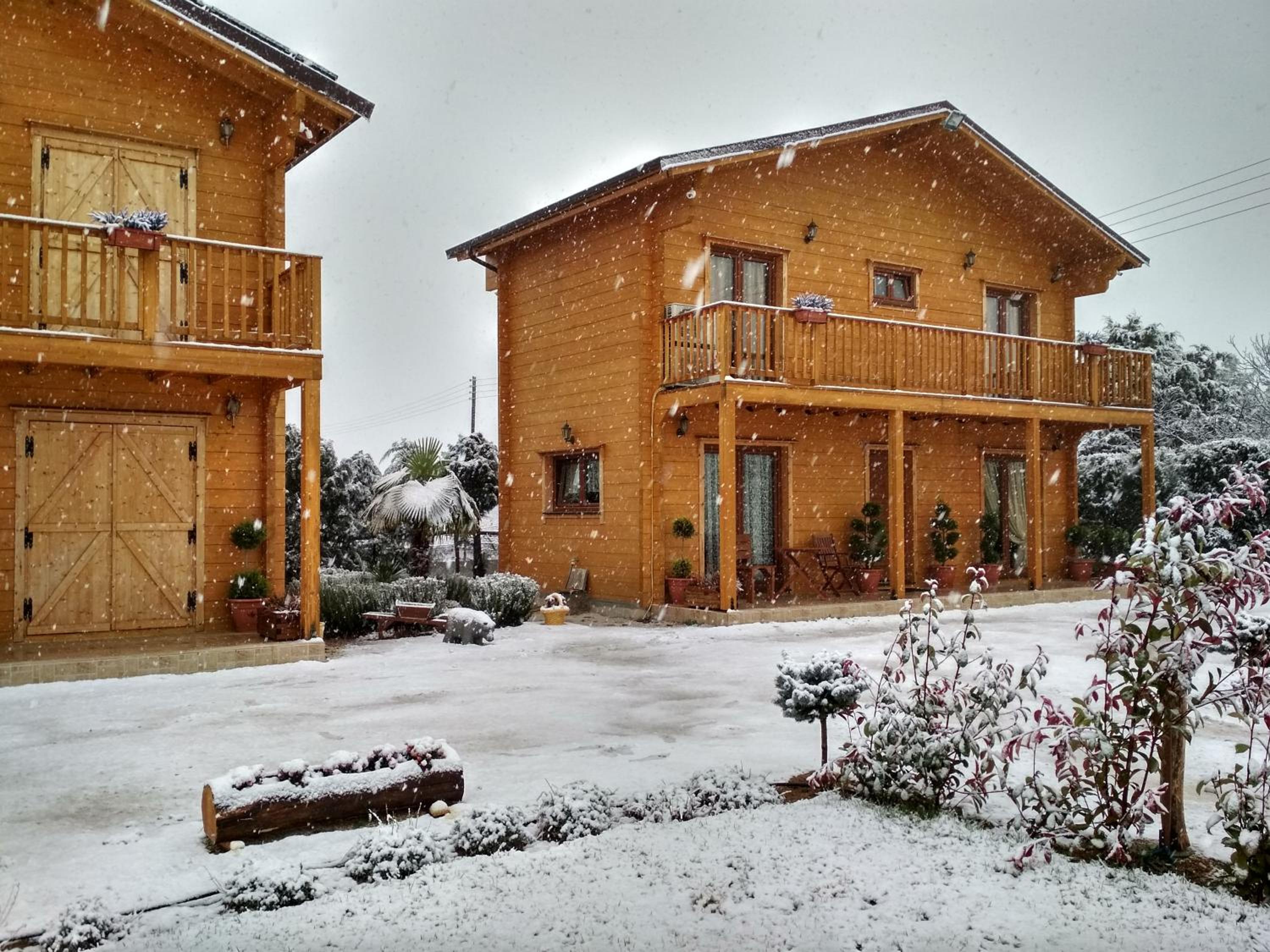 Two-Bedroom Chalet - Photo 38