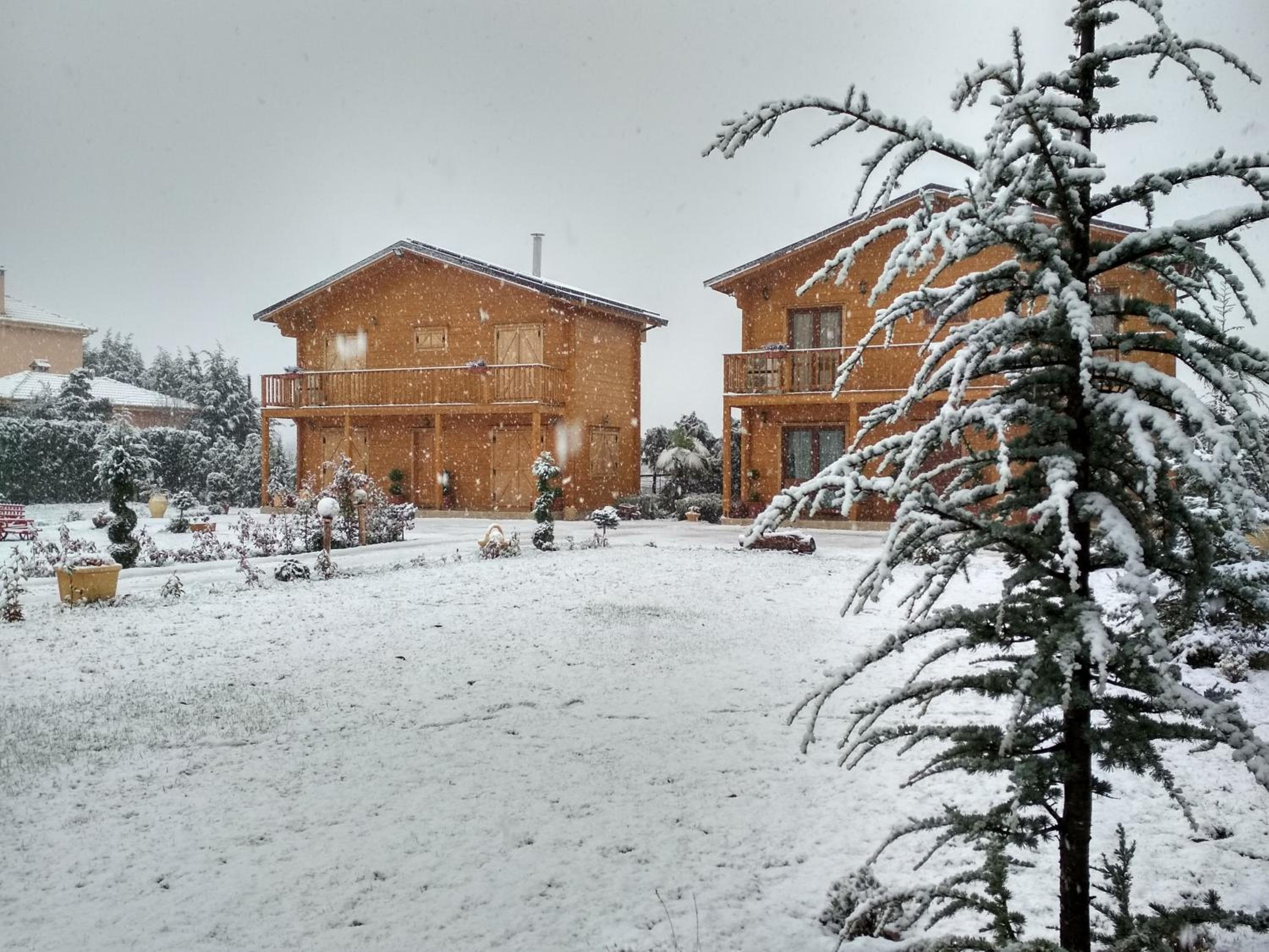 Two-Bedroom Chalet - Photo 33
