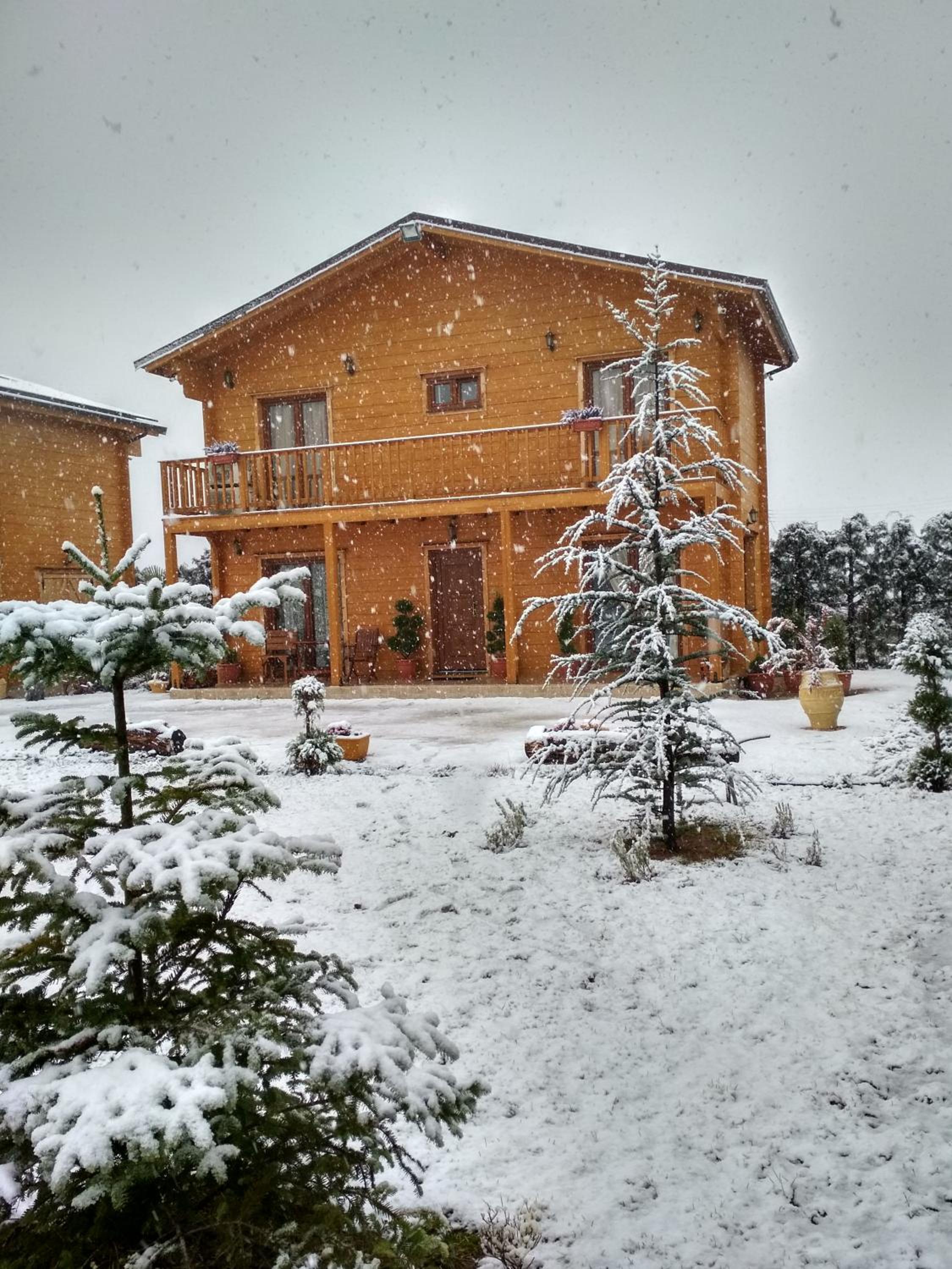 Two-Bedroom Chalet - Photo 30